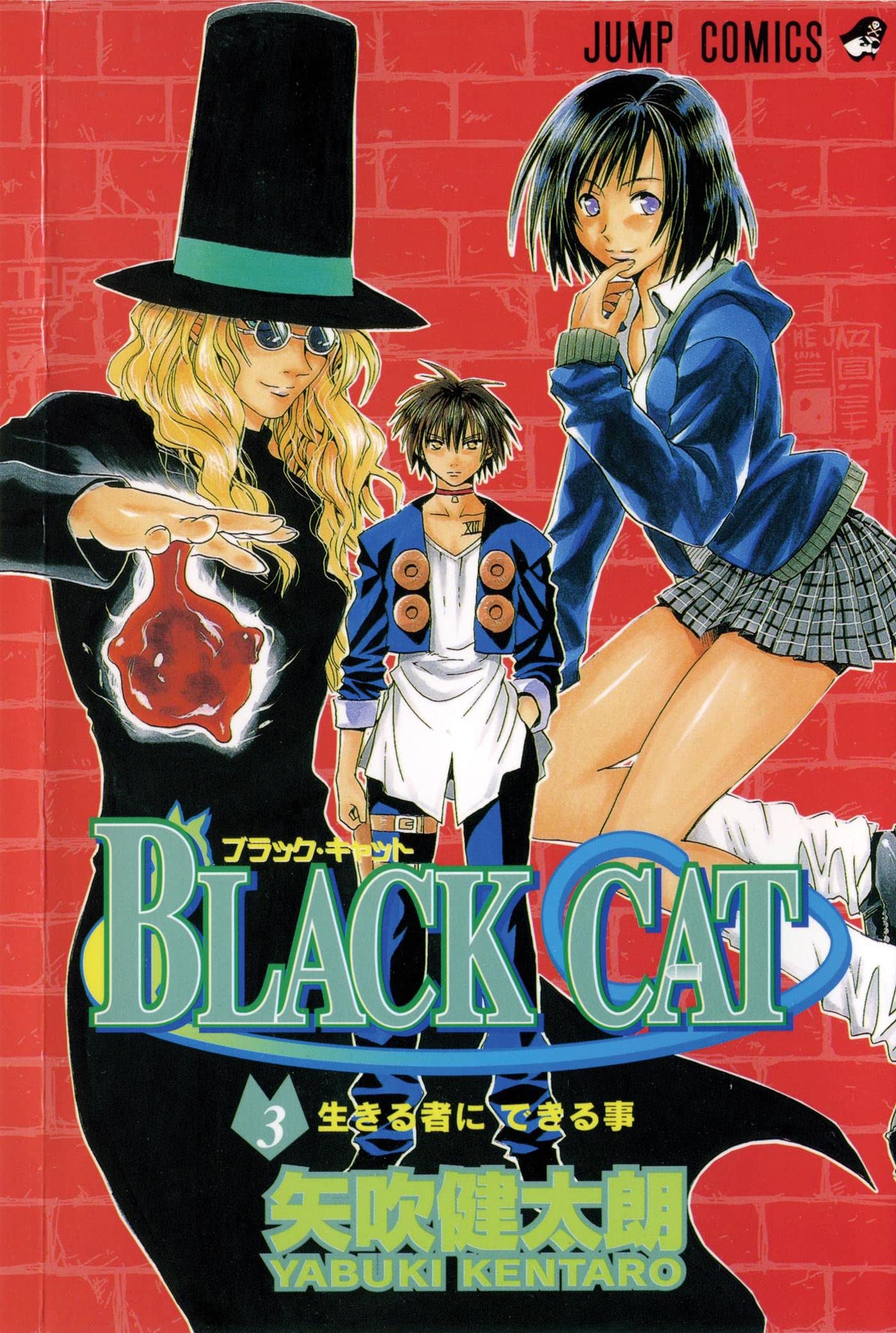 Black Cat, Vol. 3 (3)