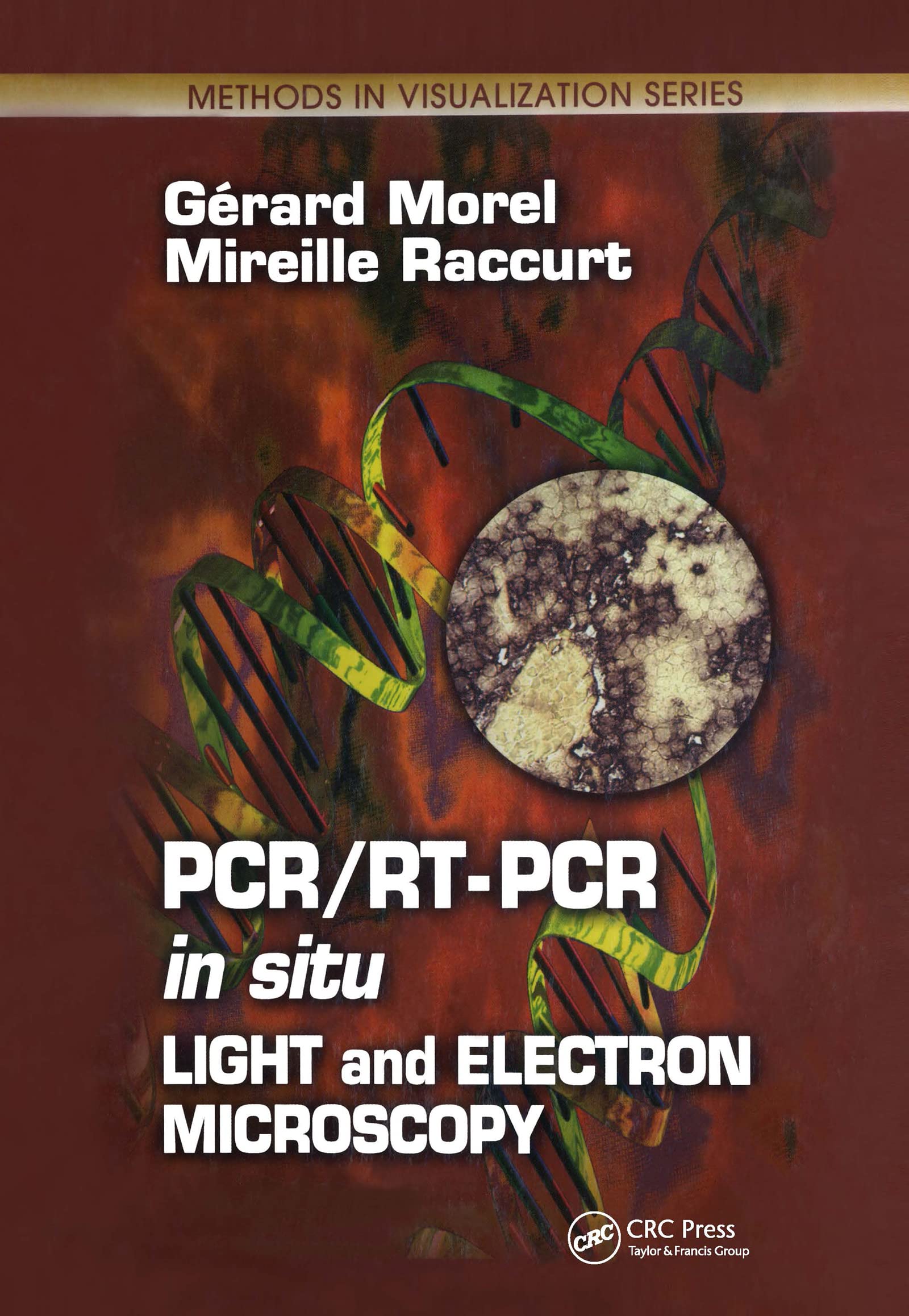 PCR/RT PCR in situ: Light and Electron Microscopy (Methods in Visualization),Used