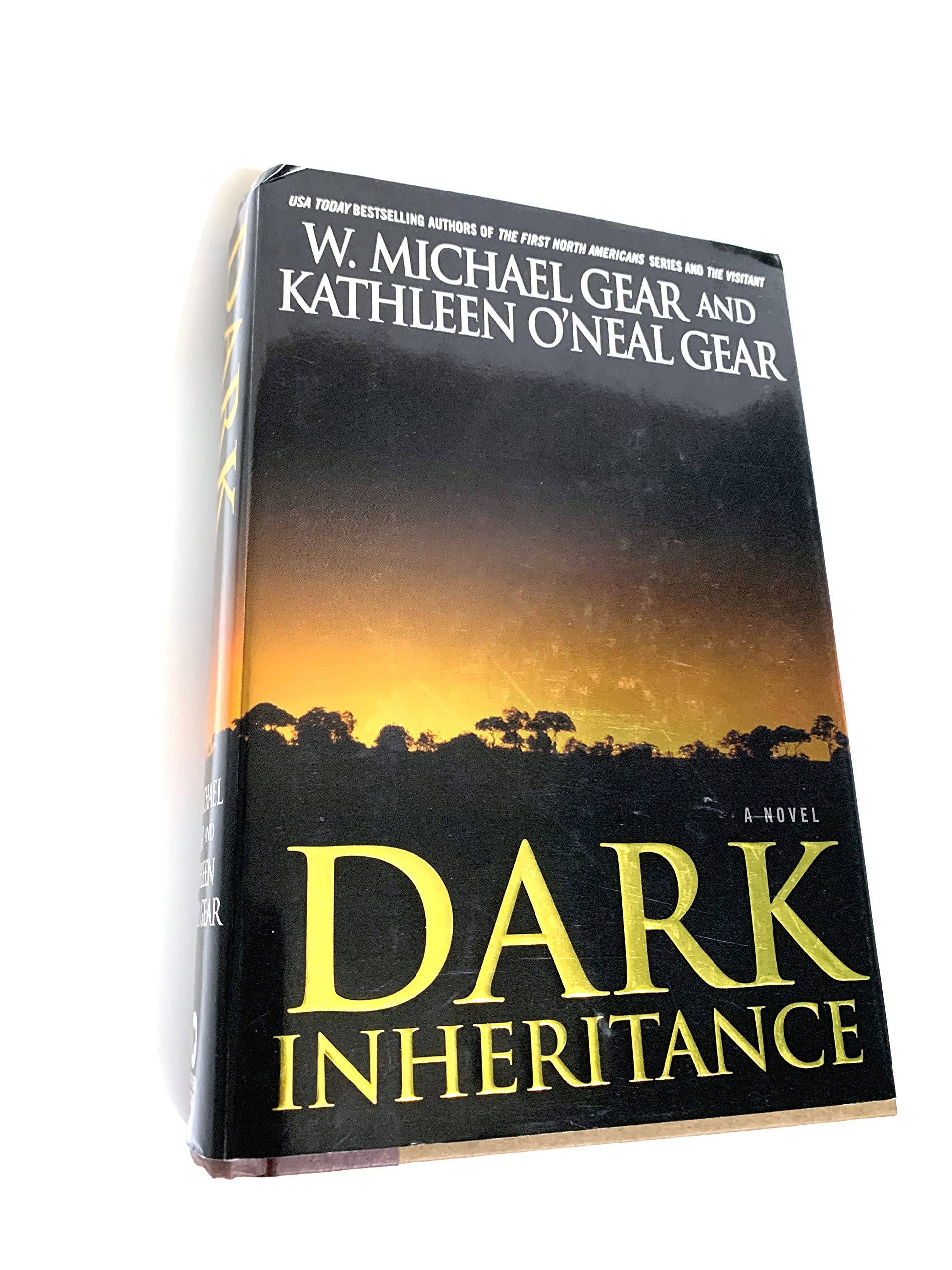 Dark Inheritance,New