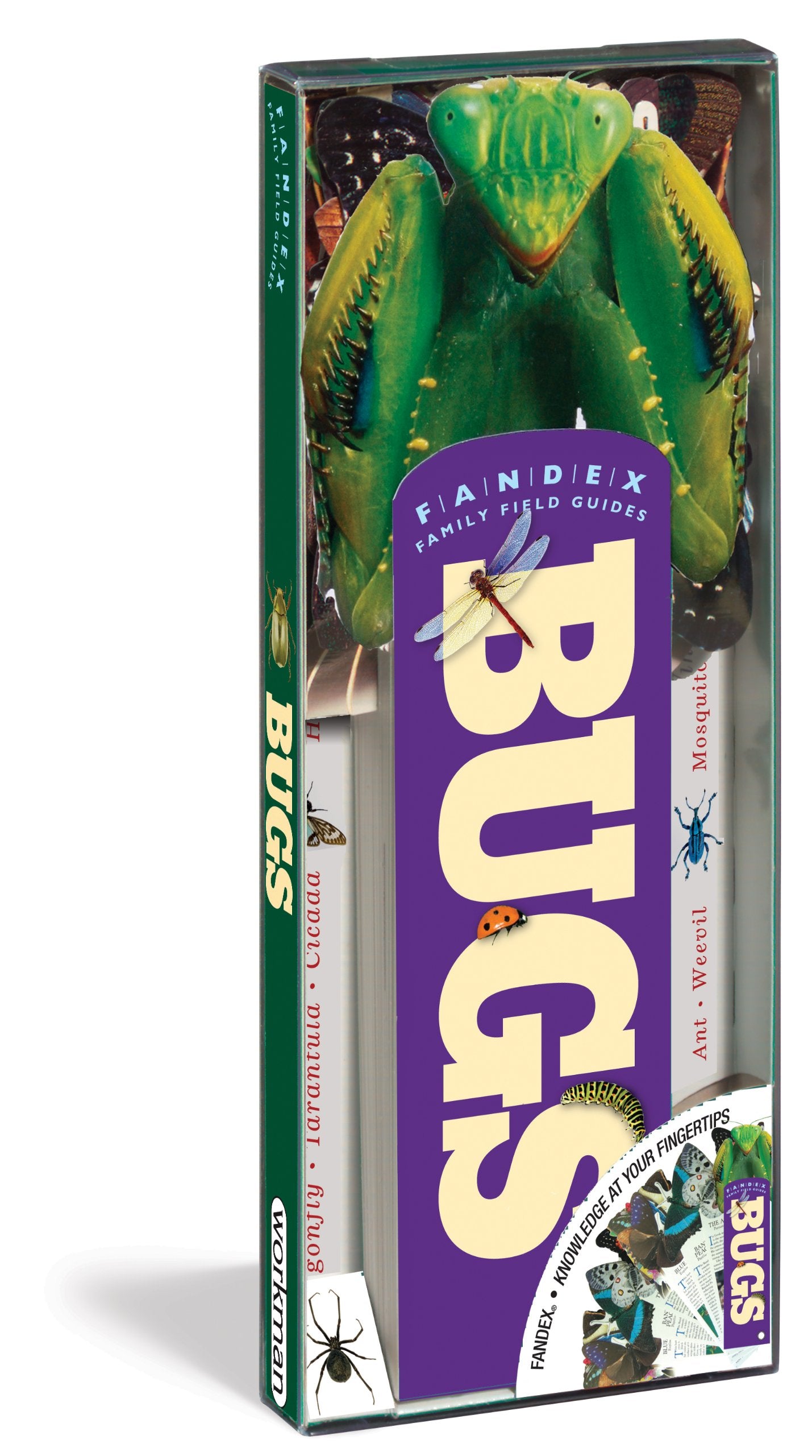 Fandex Family Field Guides: Bugs,Used