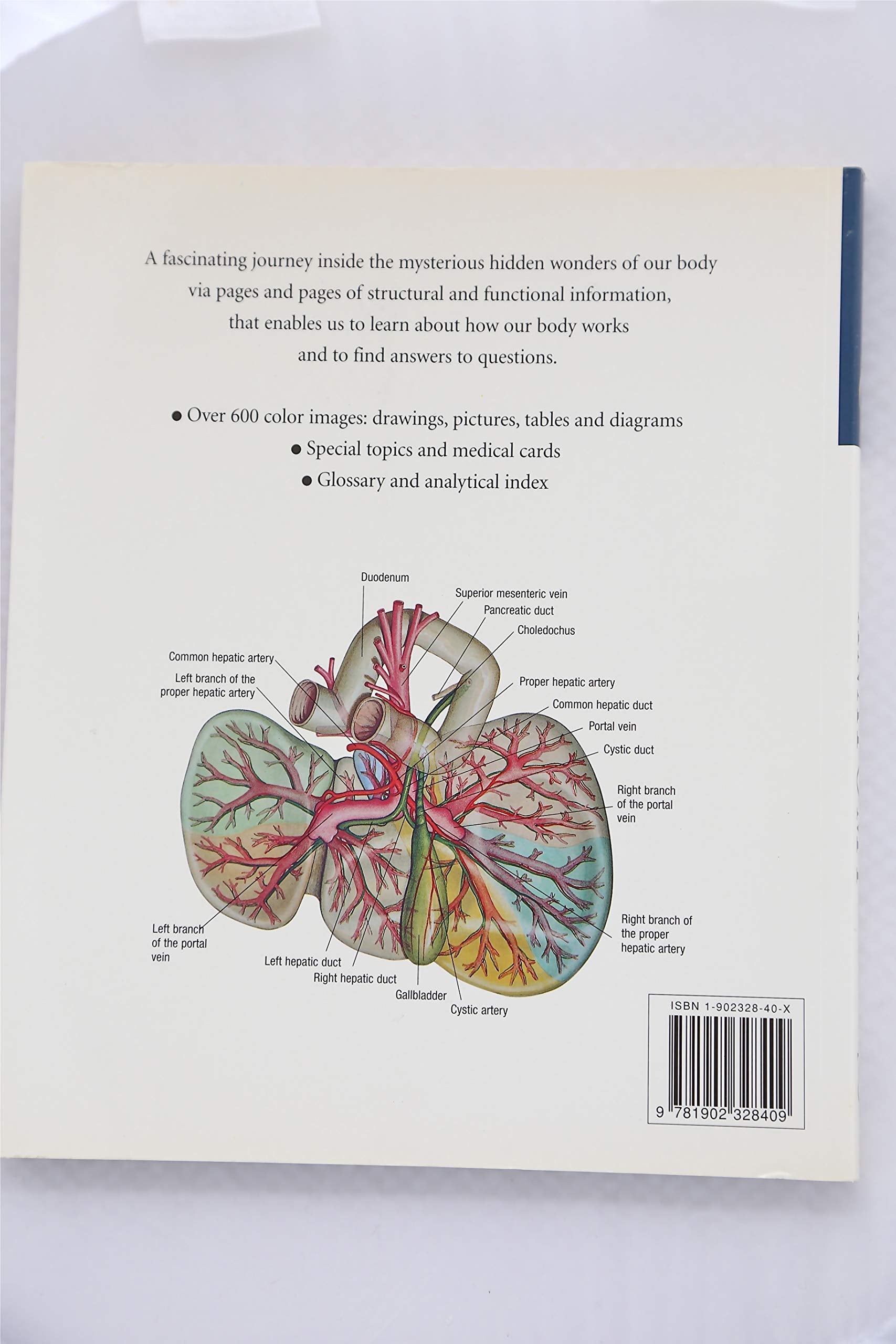 Atlas Of Anatomy,New
