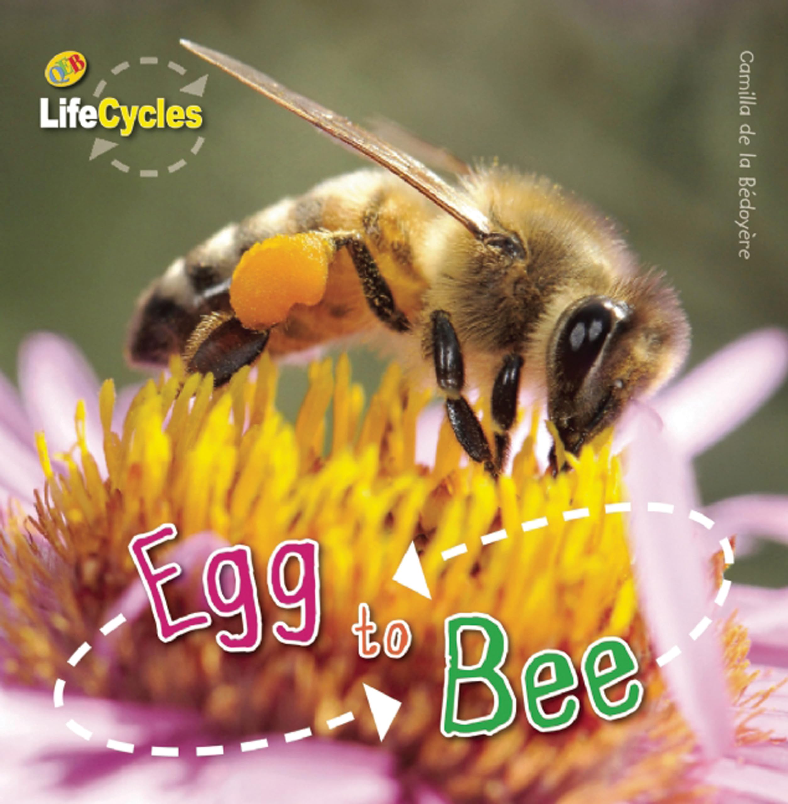 Egg to Bee (LifeCycles),Used