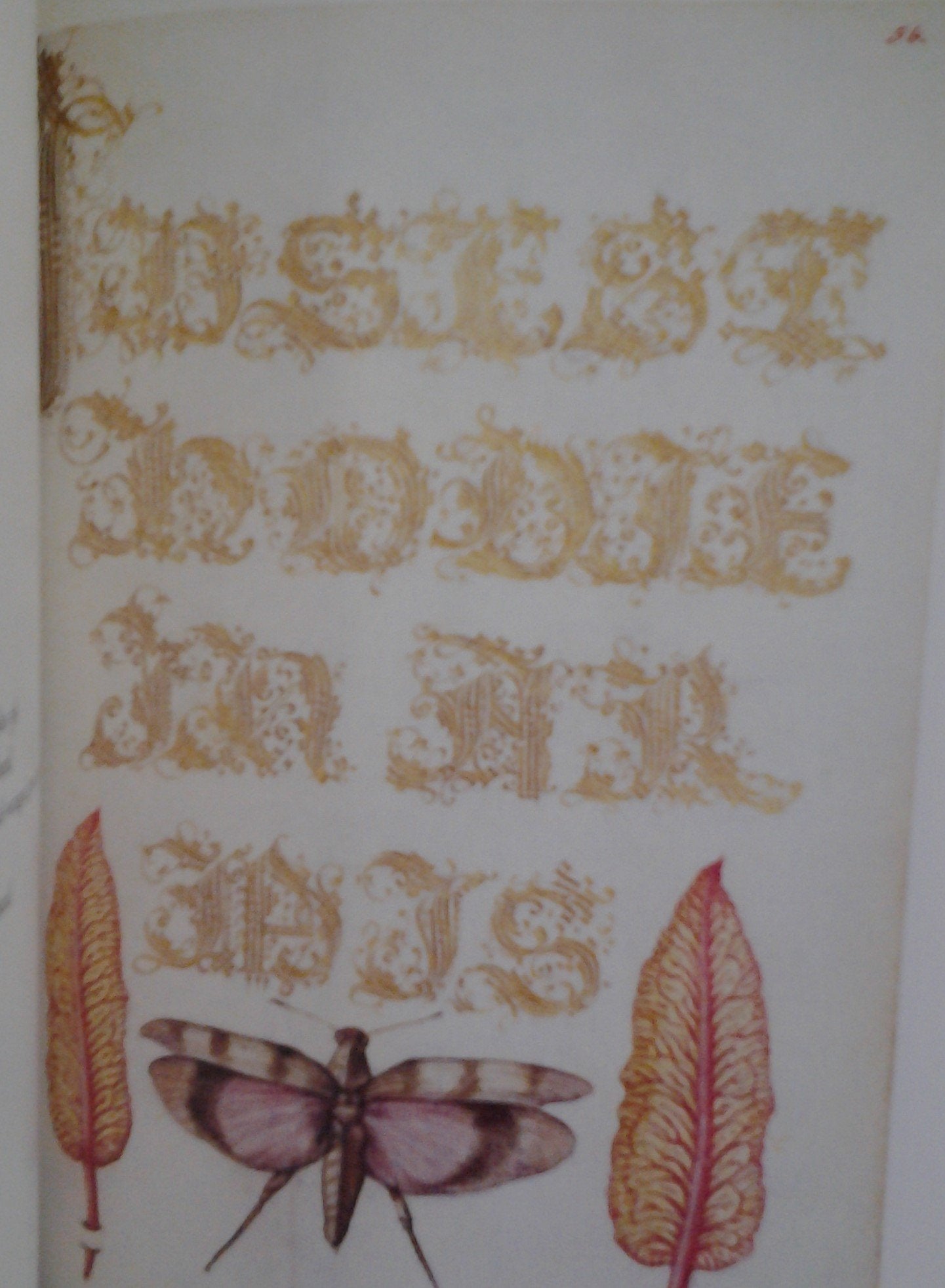 Mira calligraphiae monumenta,Used