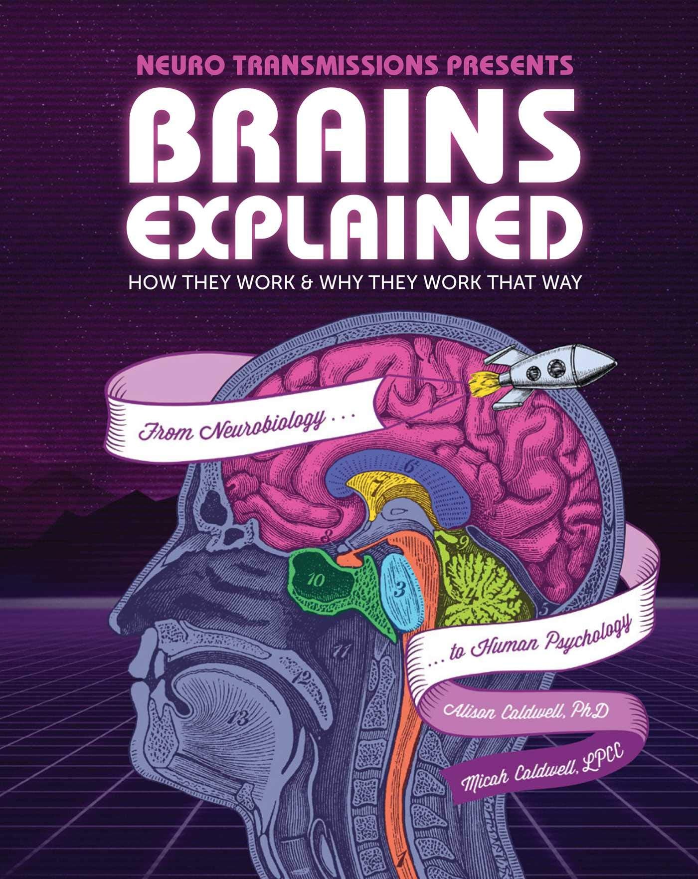 Brains Explained: How They Work & Why They Work That Way STEM Learning about the Human Brain Fun and Educational Facts about H,Used