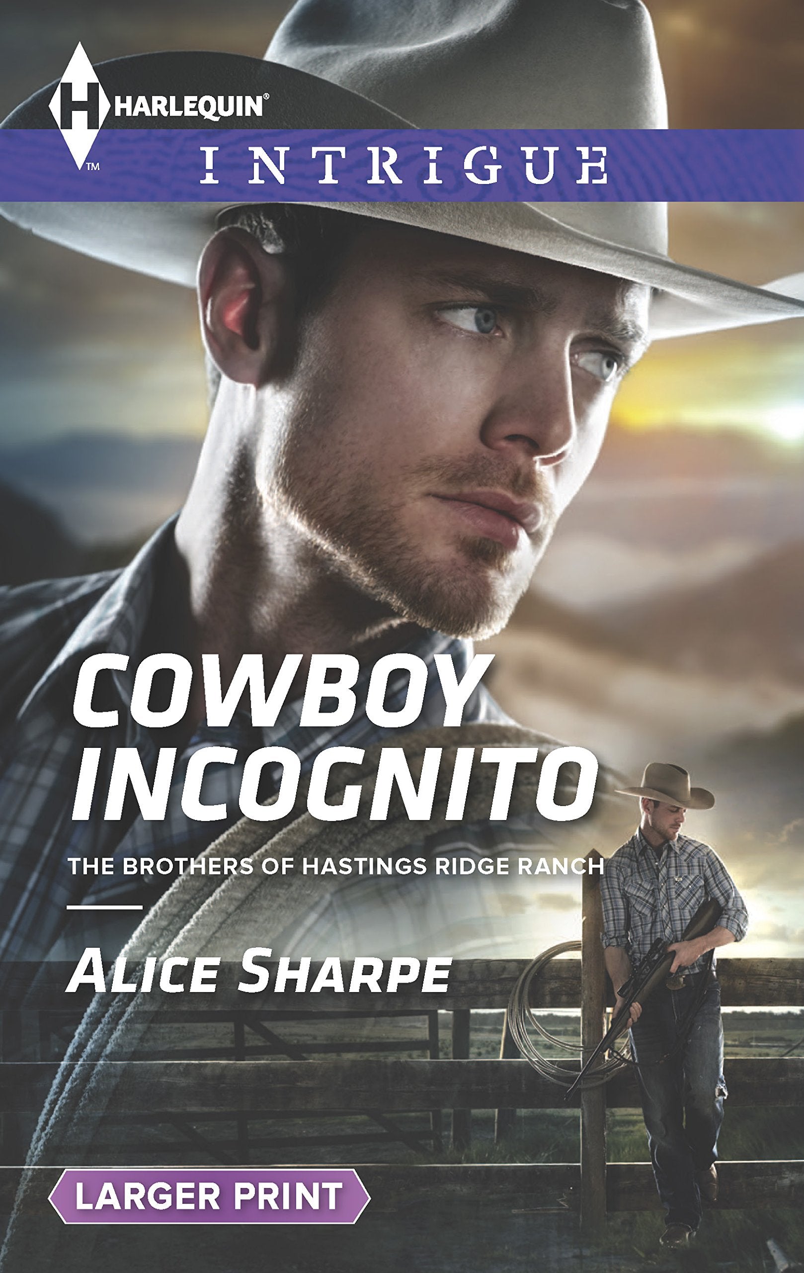Cowboy Incognito (The Brothers of Hastings Ridge Ranch, 1),Used