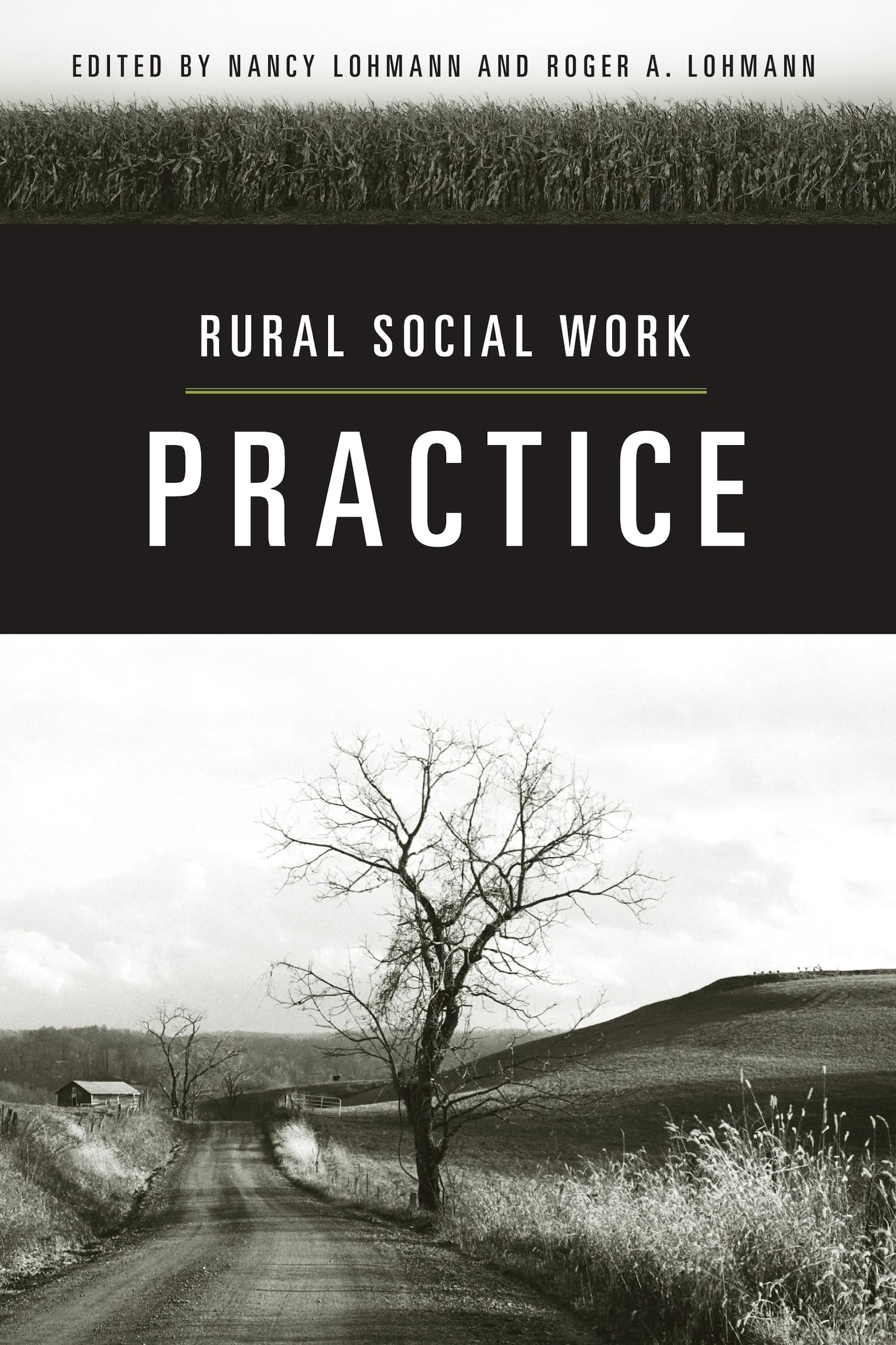 Rural Social Work Practice,Used