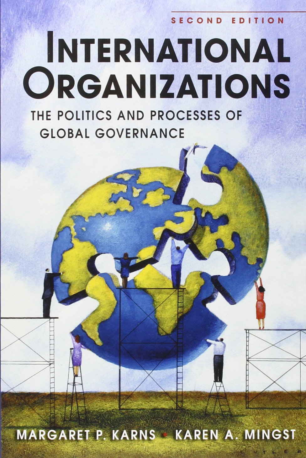International Organizations: The Politics and Processes of Global Governance,Used
