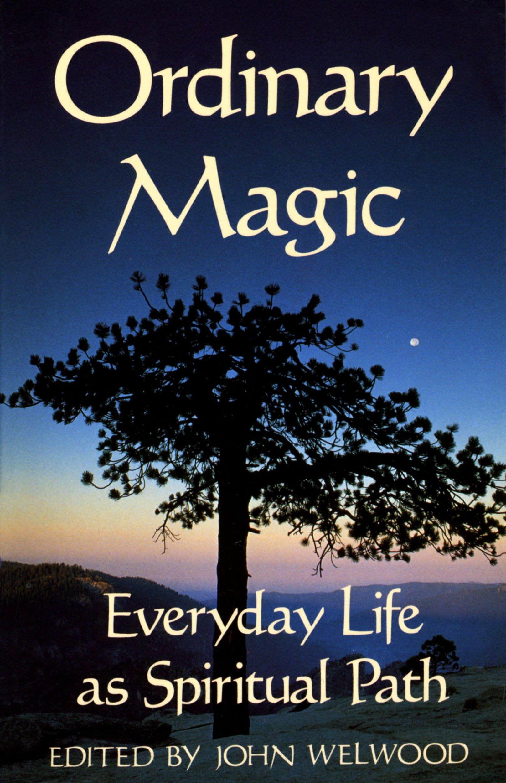 Ordinary Magic: Everyday Life as Spiritual Path,Used