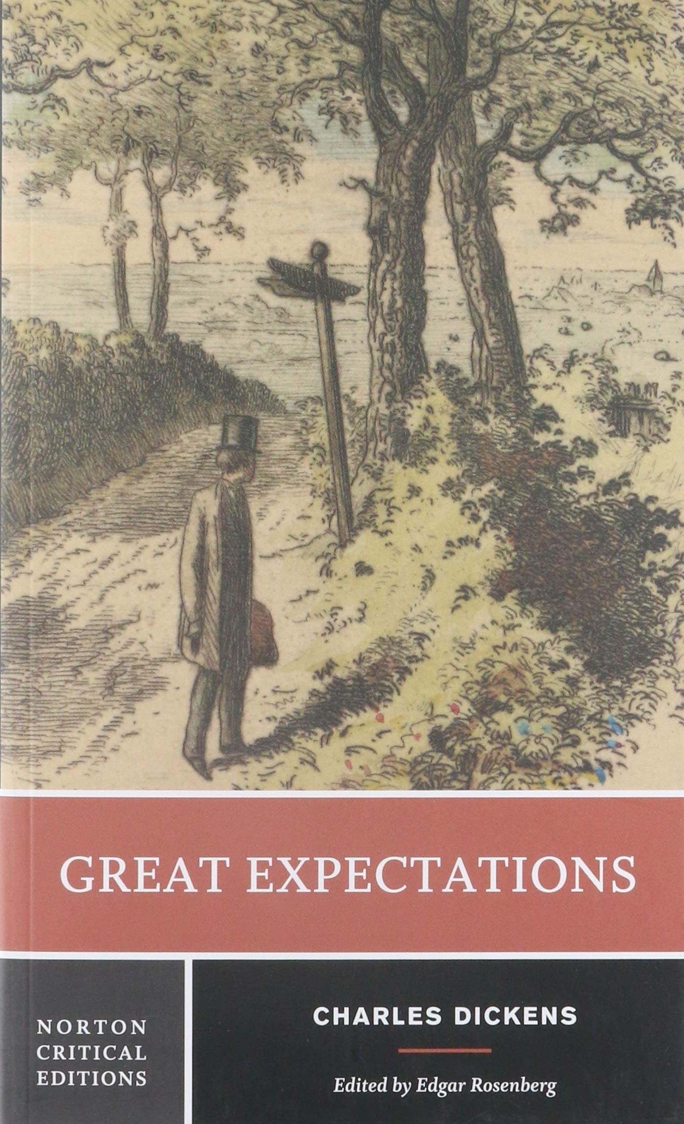 Great Expectations (A Norton Critical Edition),Used