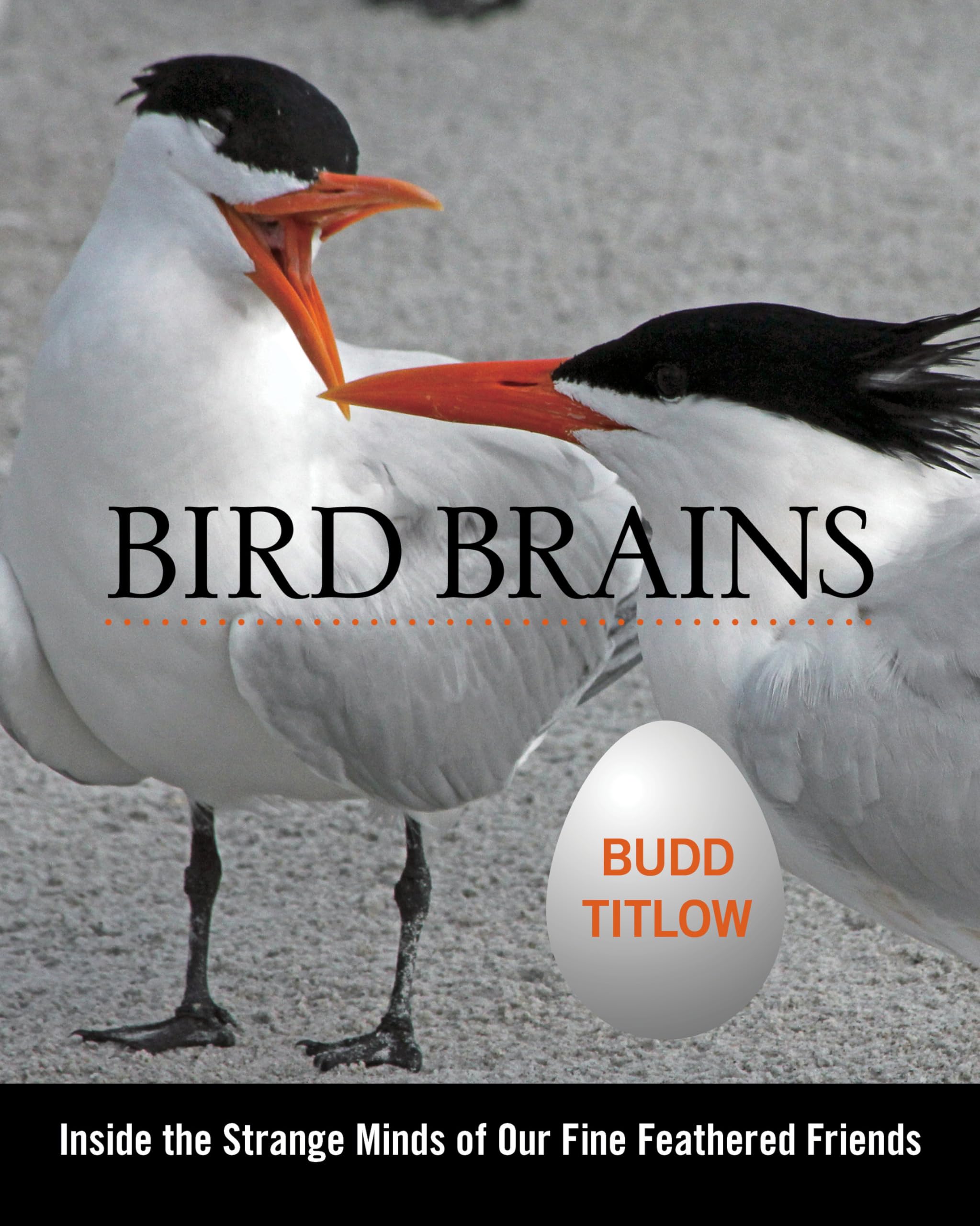 Bird Brains: Inside The Strange Minds Of Our Fine Feathered Friends,Used