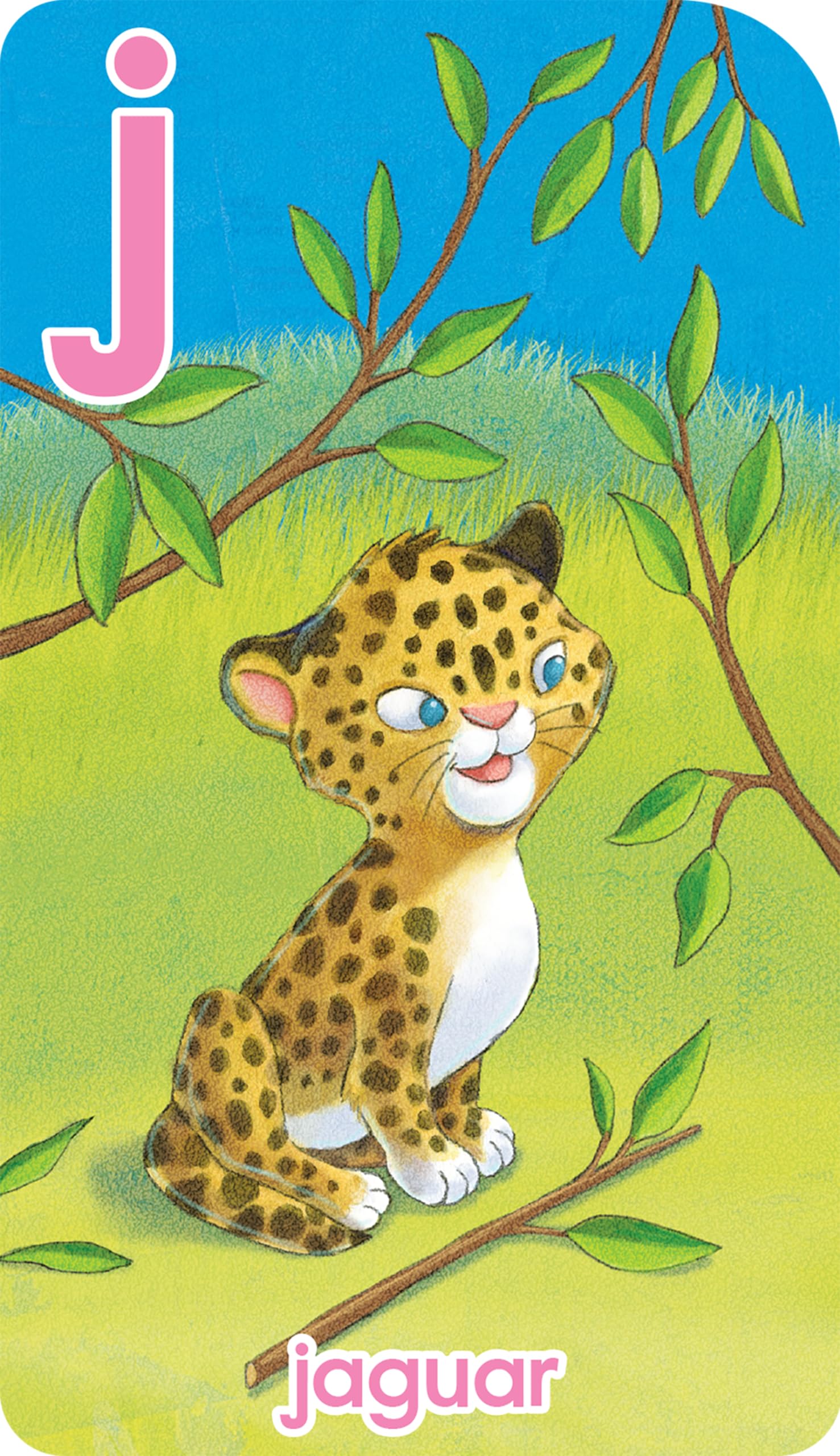 School Zone Go Fish Alphabet Game Cards: Preschool, Kindergarten, 1St Grade, Abc'S, Matching, Uppercase And Lowercase Letters, W,Used