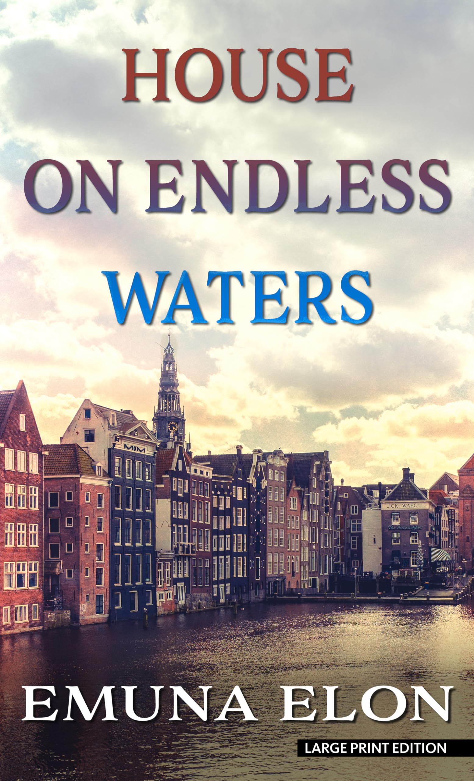 House on Endless Waters (Thorndike Press Large Print Basic),Used