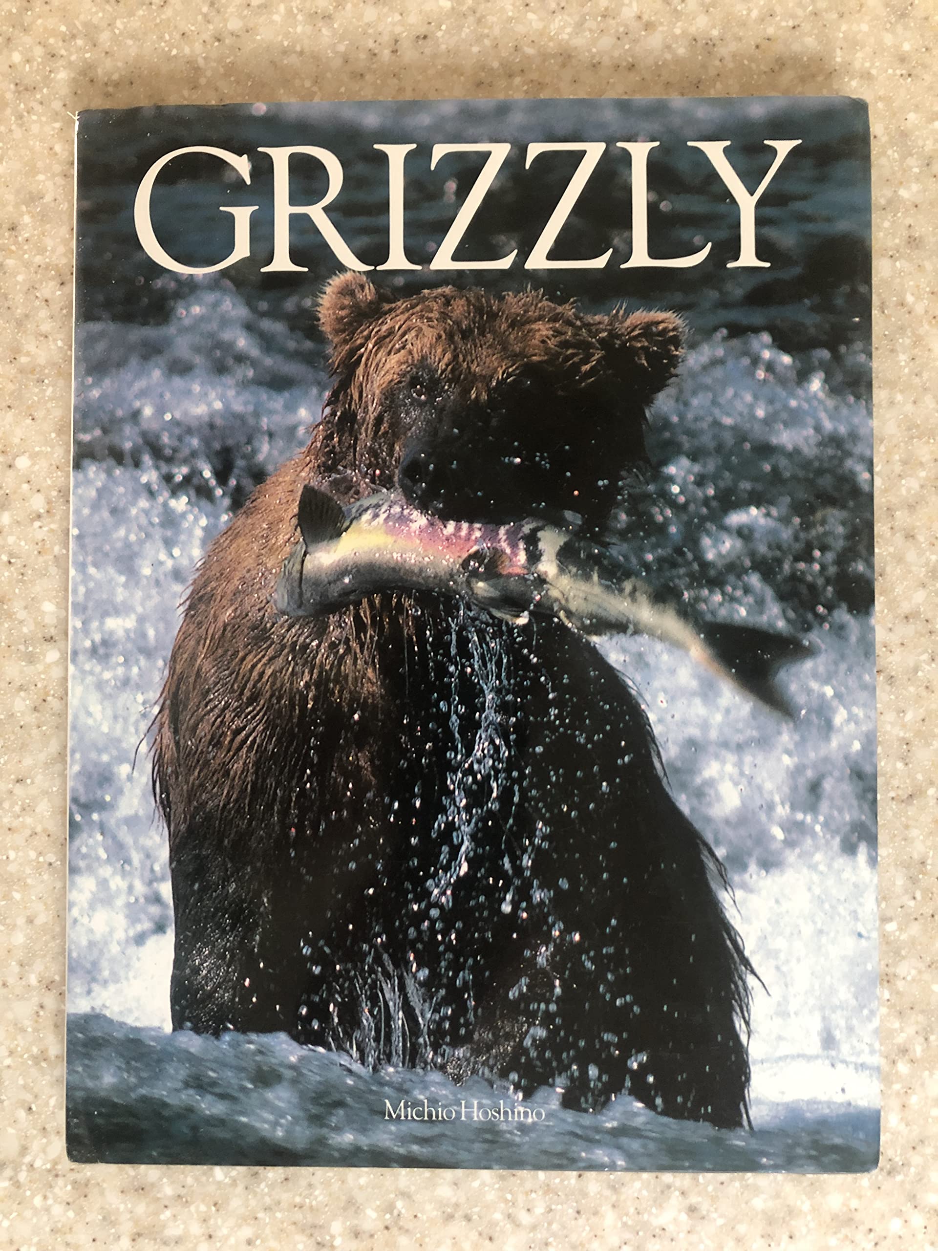 Grizzly,Used