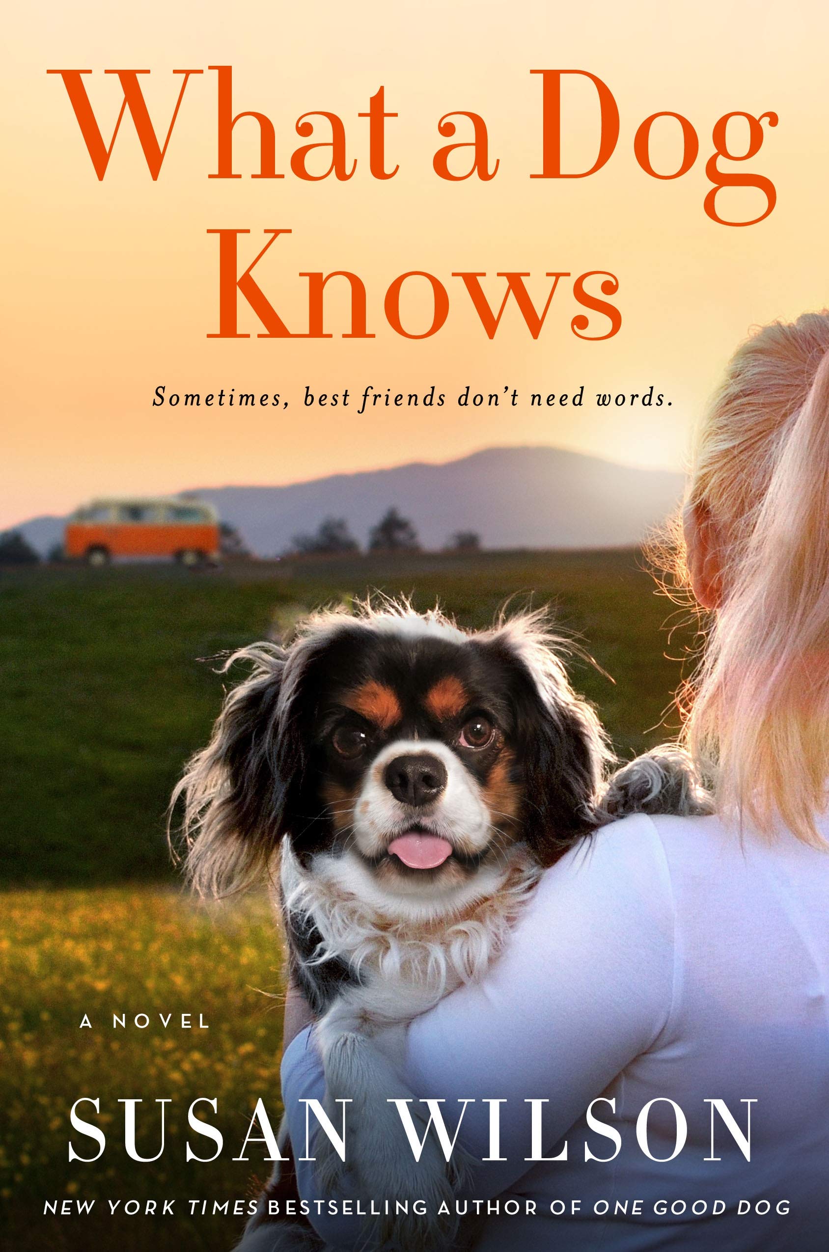 What A Dog Knows: A Novel