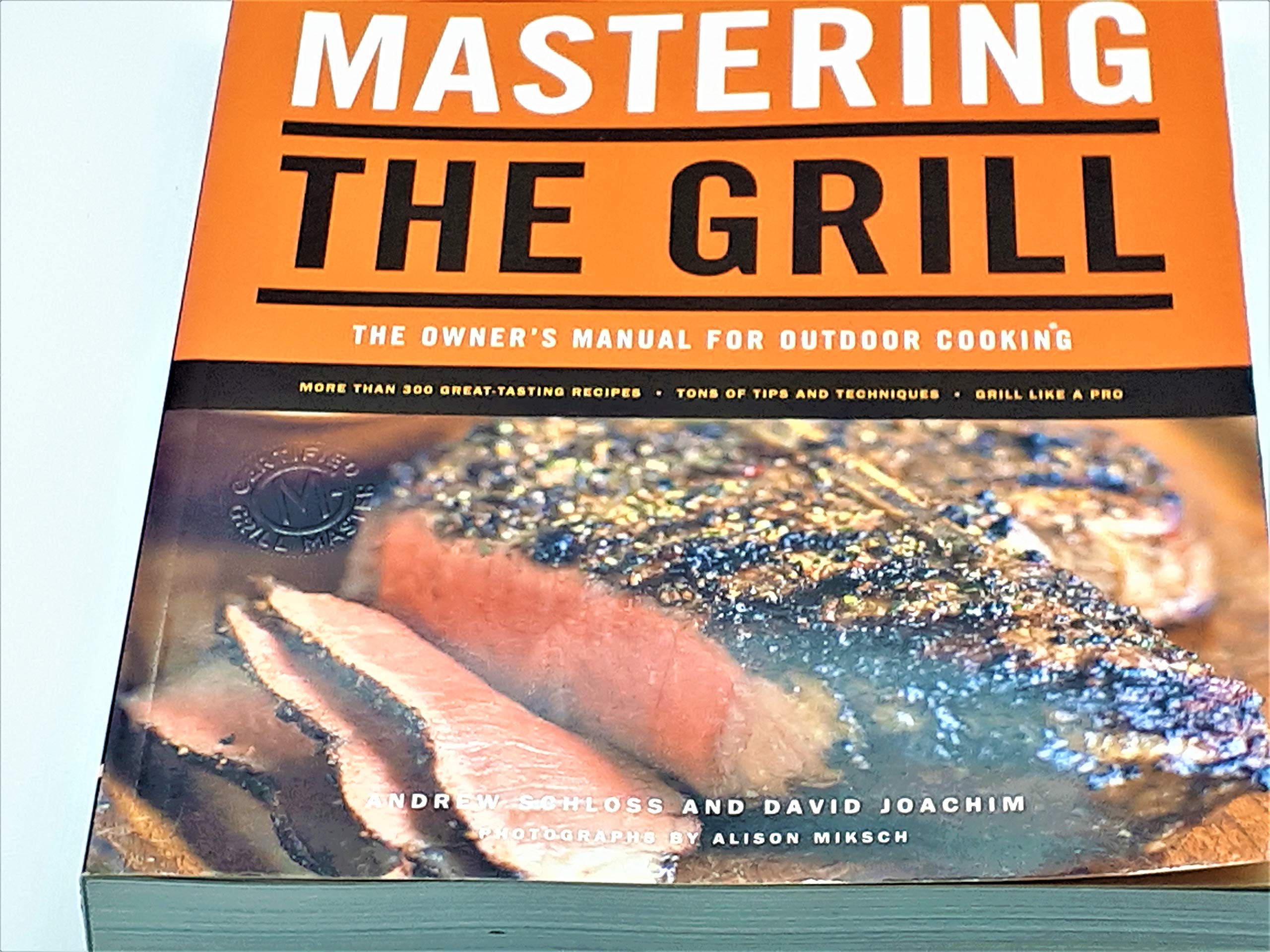 Mastering the Grill: The Owner's Manual for Outdoor Cooking,Used
