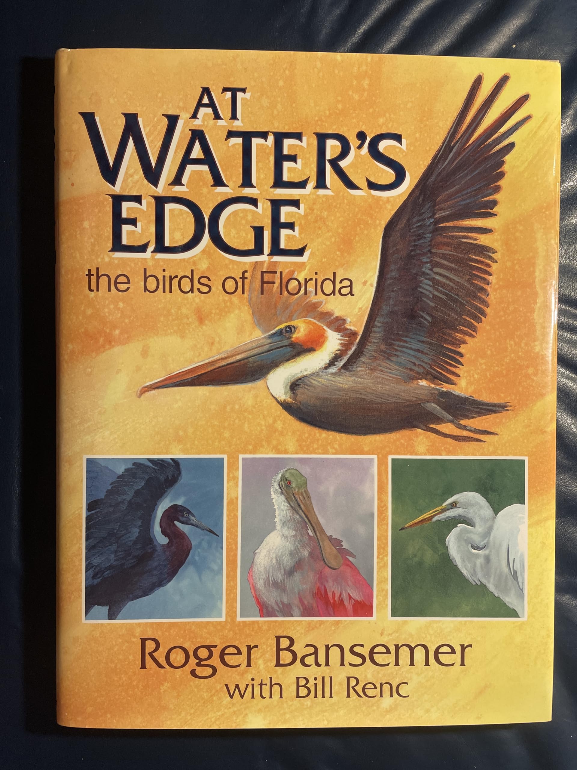 At Water'S Edge: The Birds Of Florida,New
