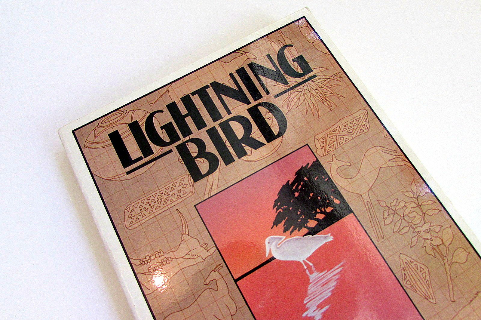 Lightning Bird: The Story Of One Man'S Journey Into Africa'S Past,Used