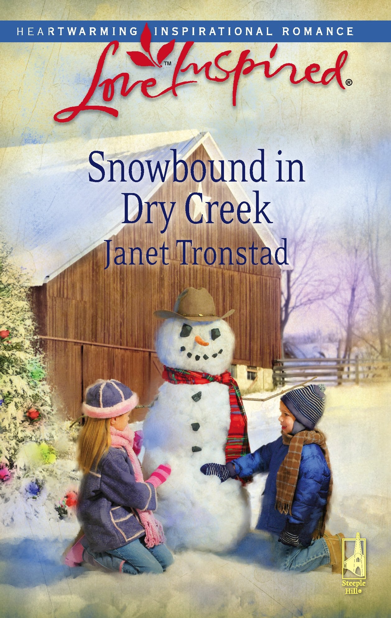 Snowbound in Dry Creek (Dry Creek Series #14) (Love Inspired #465),Used