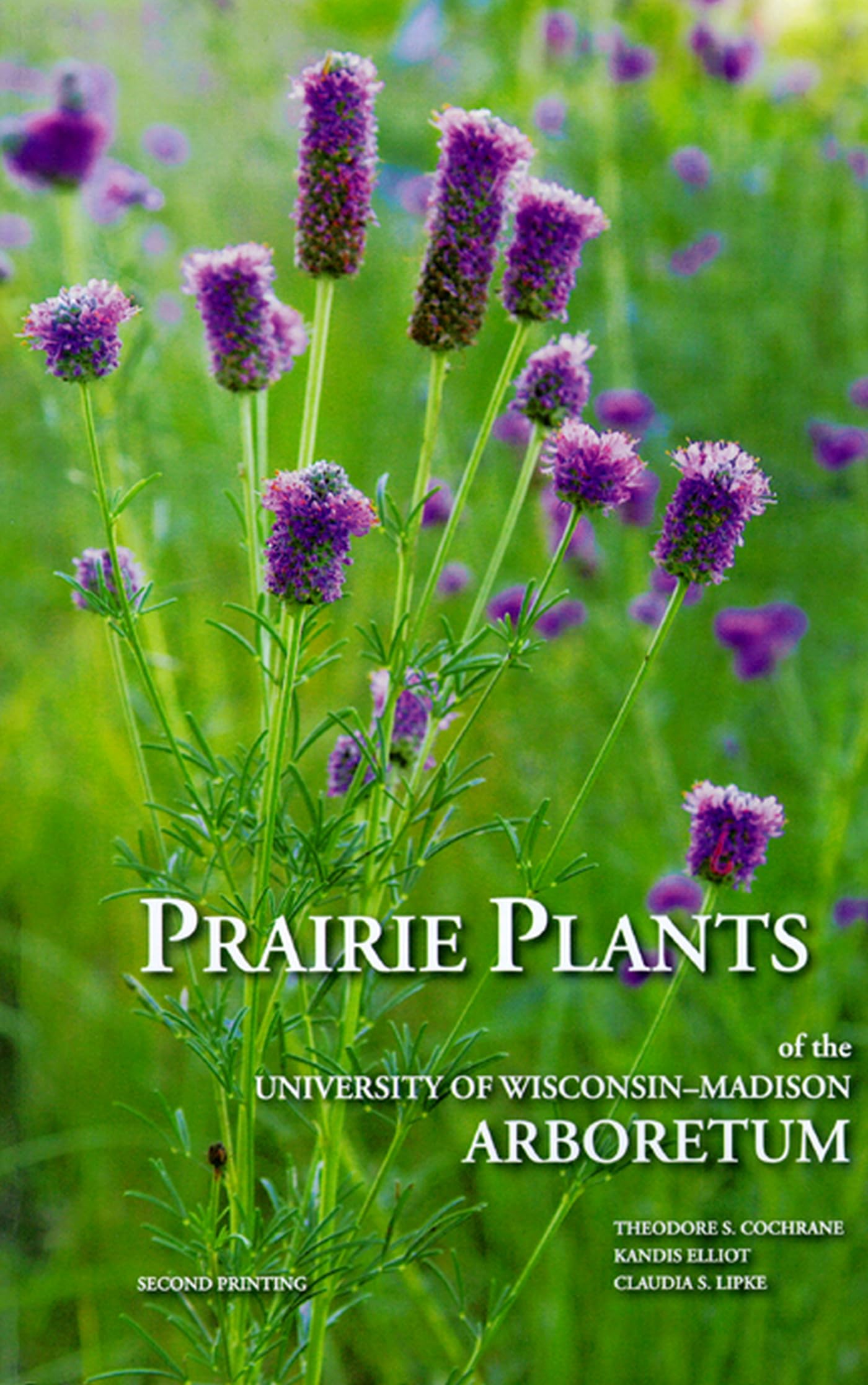 Prairie Plants of the University of WisconsinMadison Arboretum: Including Horsetails, Ferns, Rushes, Sedges, Grasses, Shrubs, V,Used