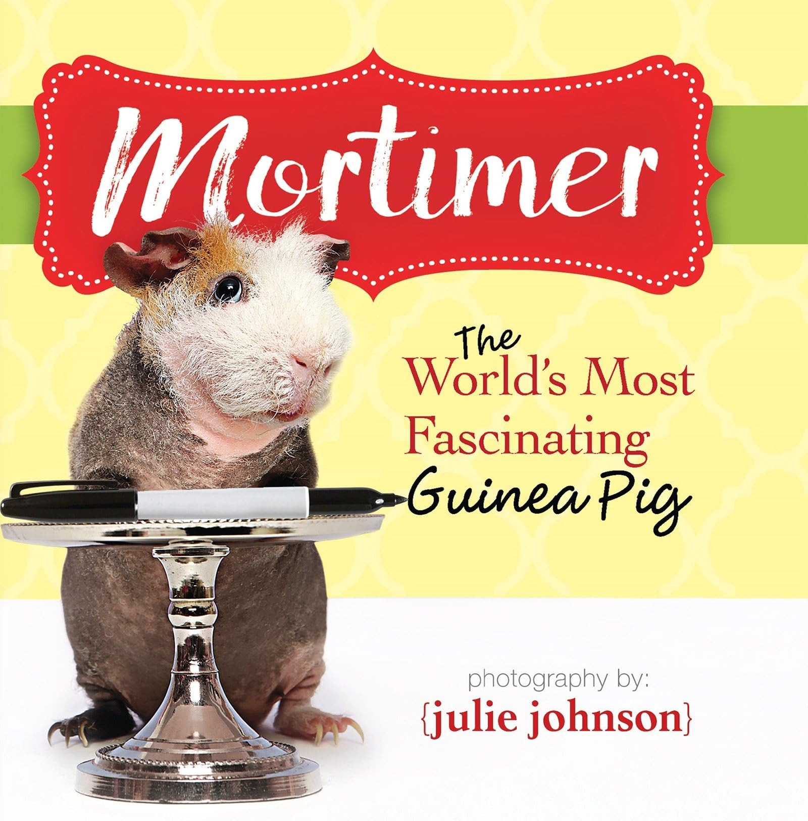 Mortimer, World's Most Fascinating Guinea Pig: Answers to the Mysteries of Life,Used