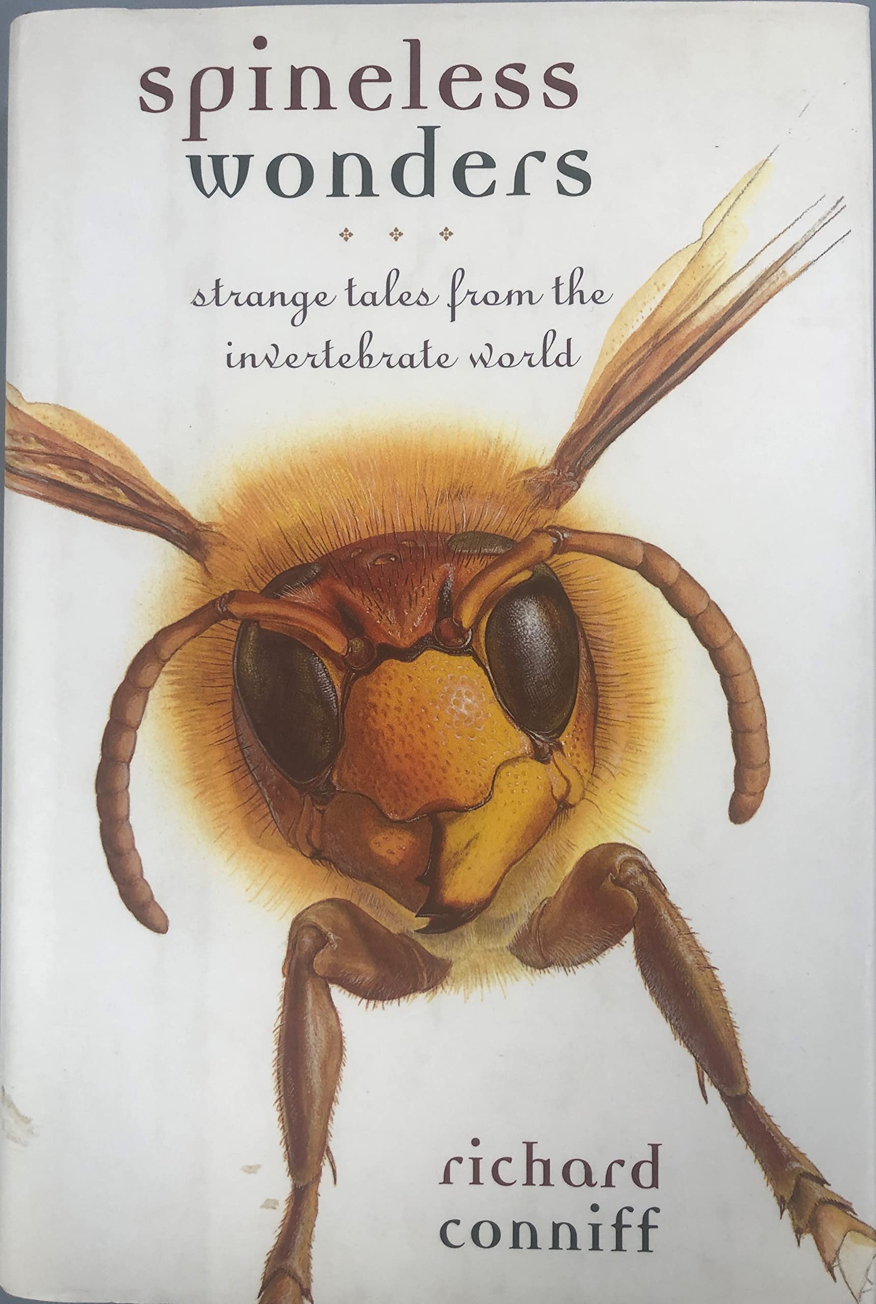 Spineless Wonders: Strange Tales From The Invertebrate World,Used