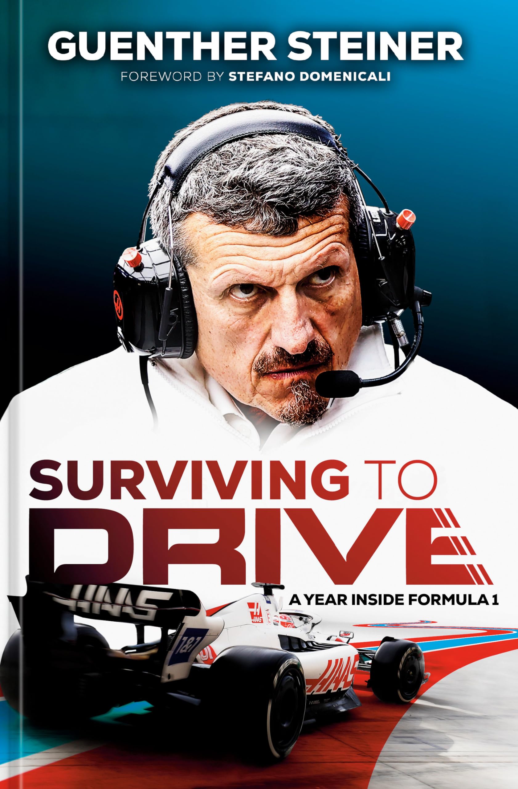 Surviving To Drive: A Year Inside Formula 1: An F1 Book,Used