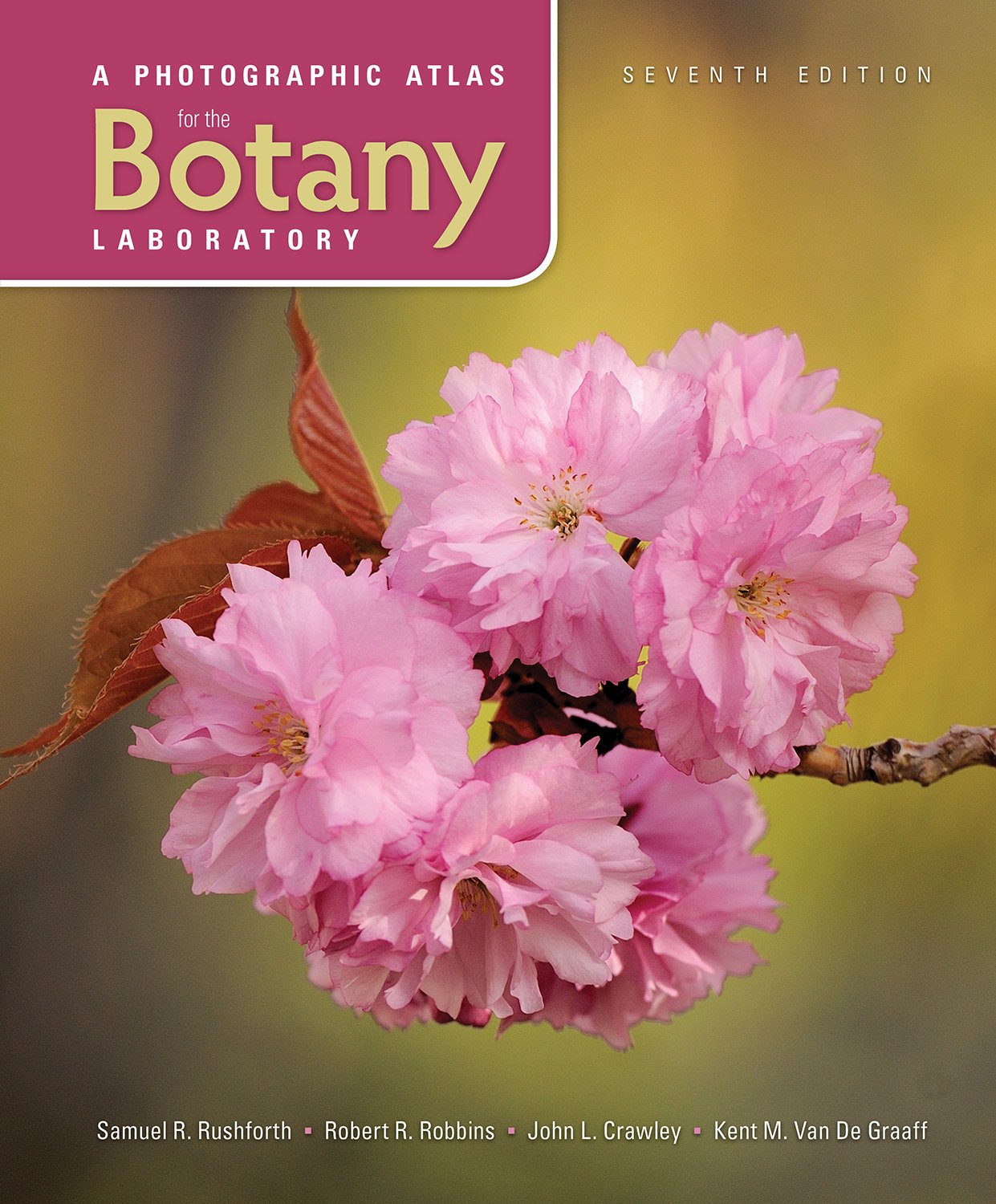A Photographic Atlas For The Botany Laboratory