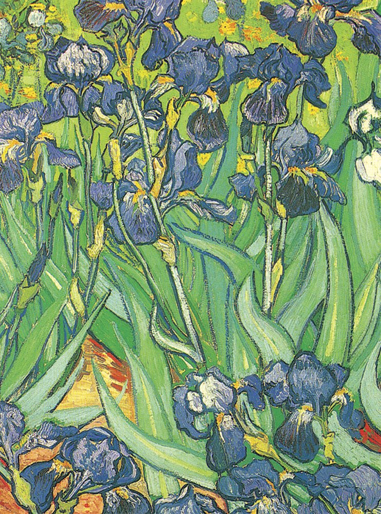 Van Gogh Notebook,Used