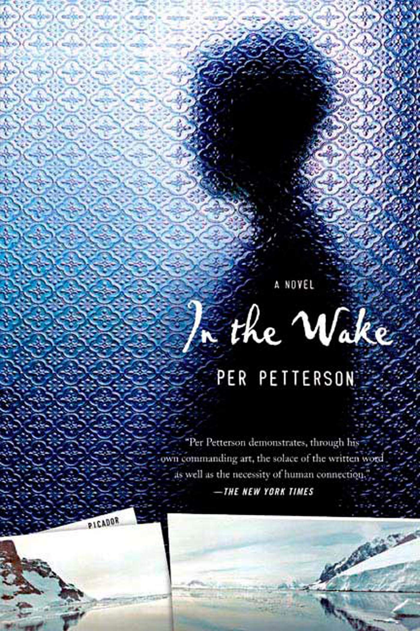 In The Wake: A Novel,Used