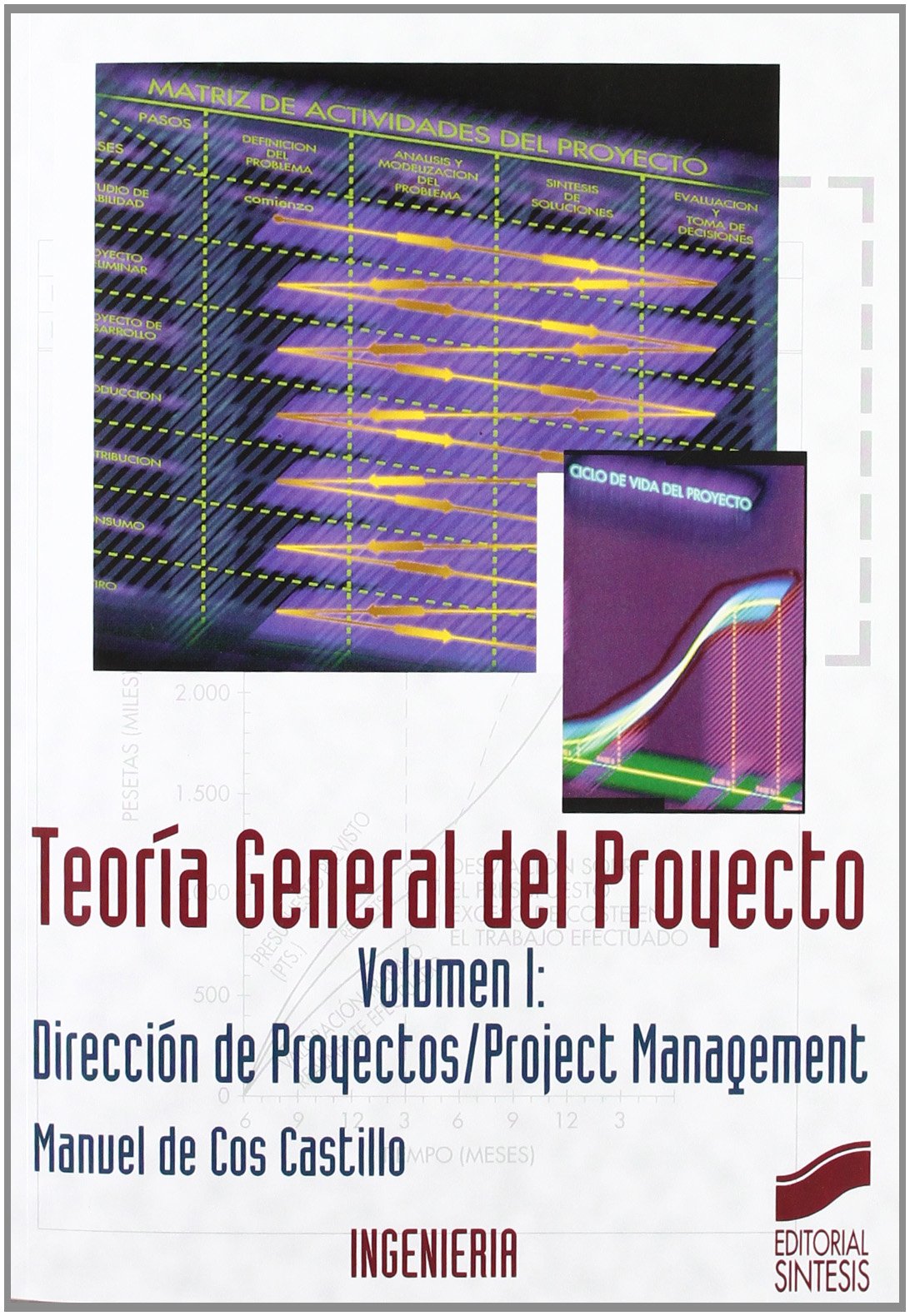 Teora general del proyecto,Used