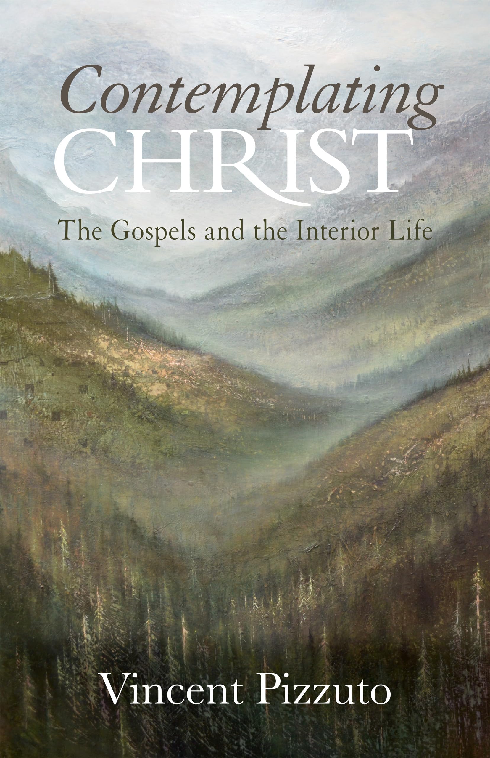 Contemplating Christ: The Gospels And The Interior Life,Used