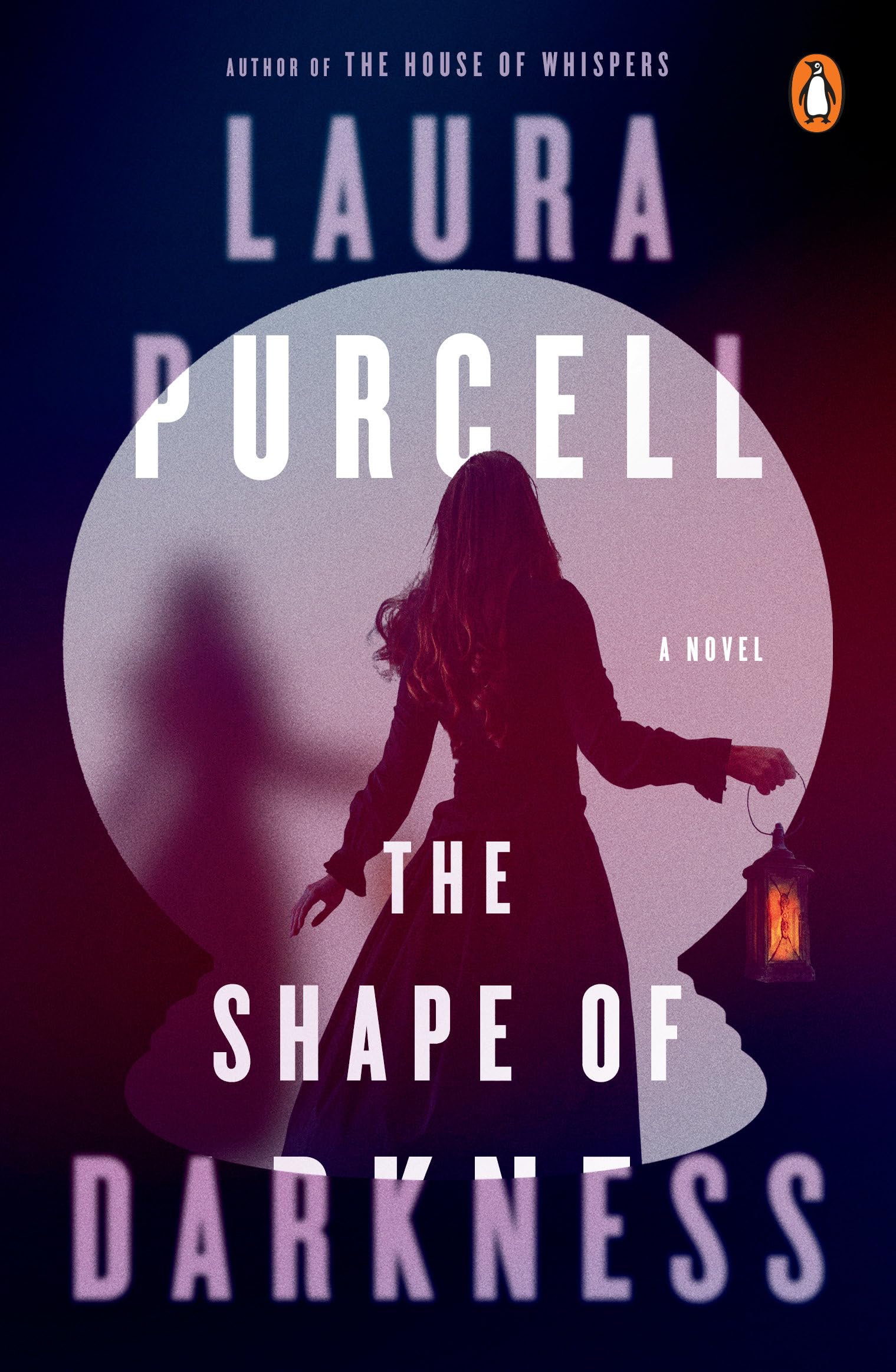 The Shape of Darkness: A Novel,Used