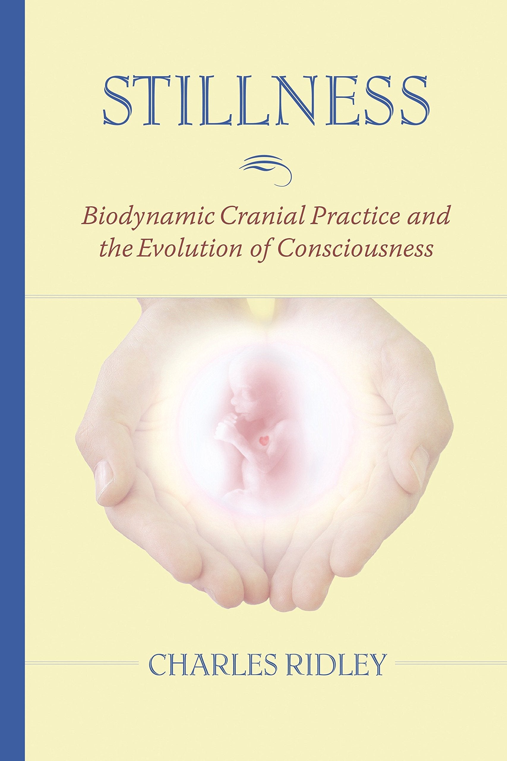 Stillness: Biodynamic Cranial Practice and the Evolution of Consciousness,Used