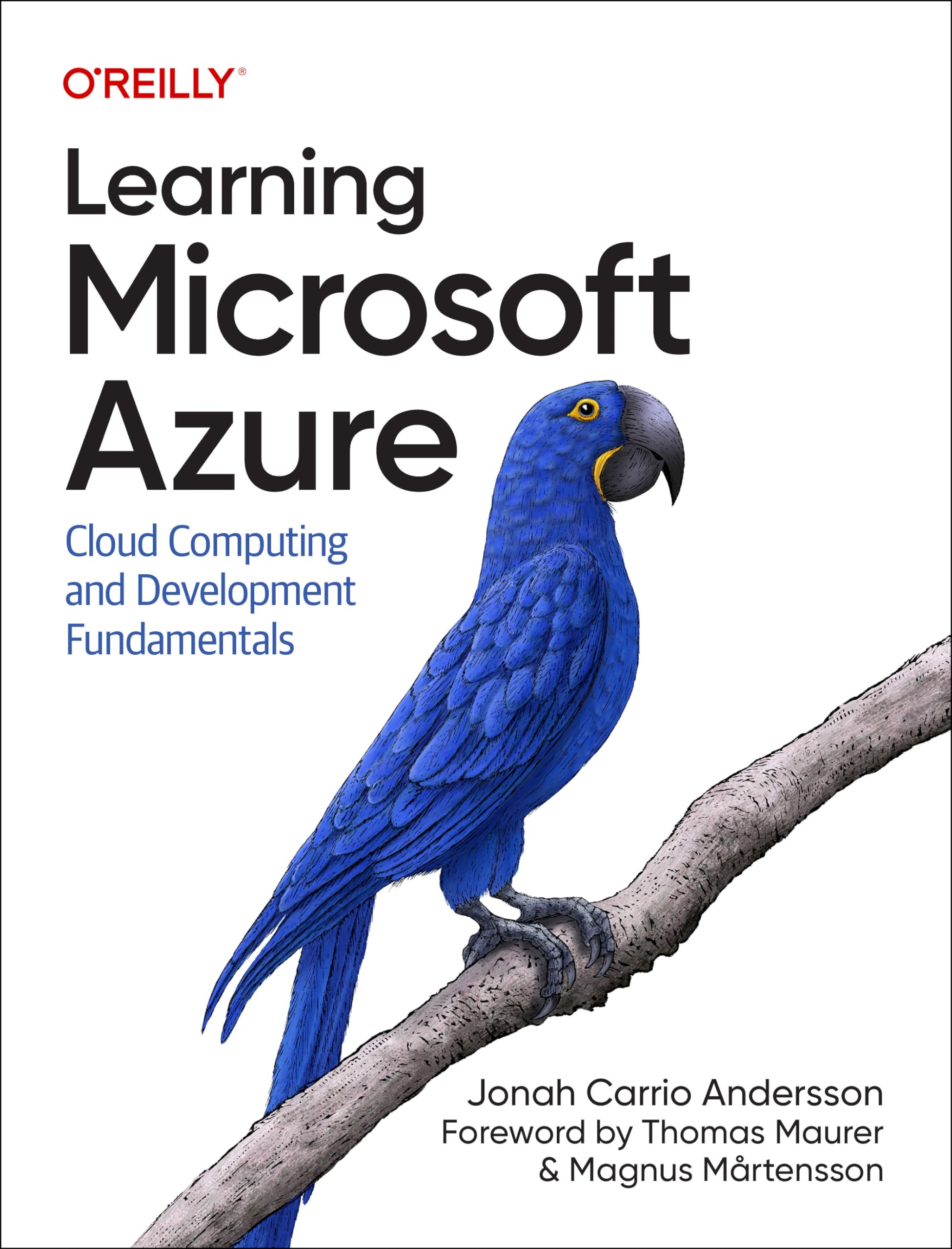 Learning Microsoft Azure: Cloud Computing And Development Fundamentals,New