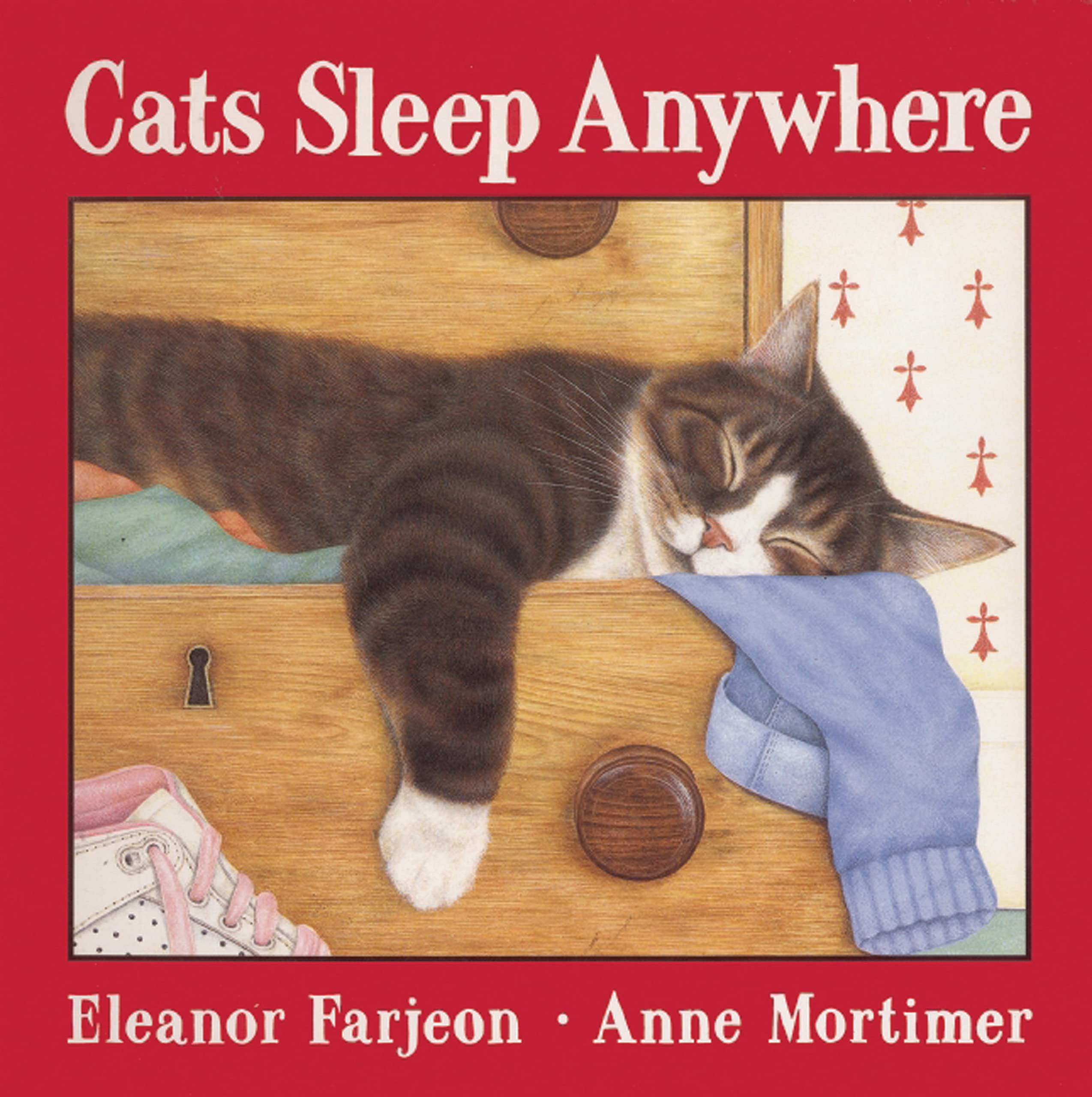 Cats Sleep Anywhere,Used