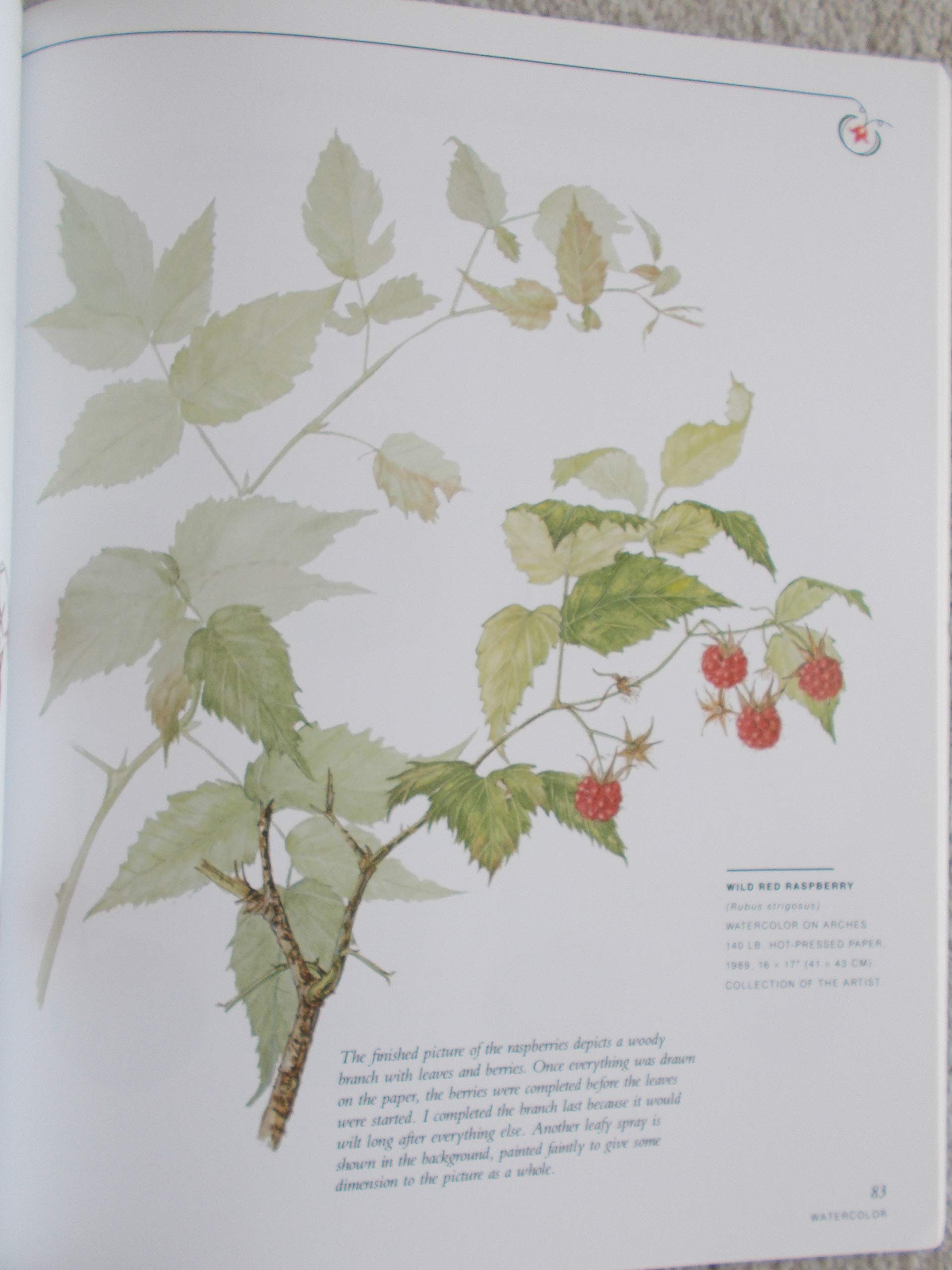 Botanical Illustration in Watercolor,New