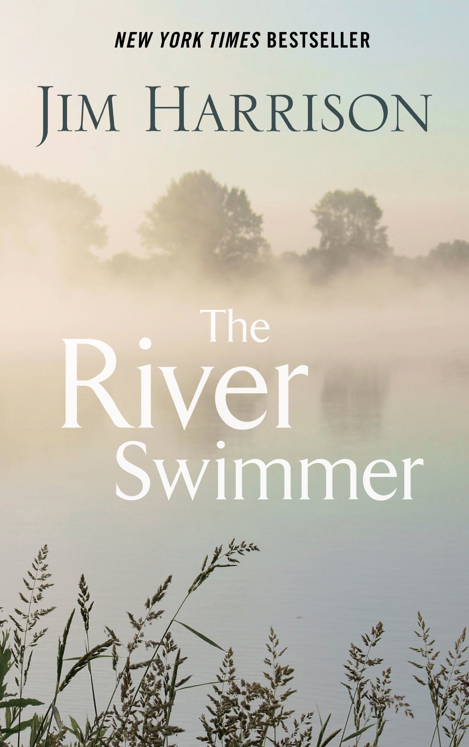 The River Swimmer: Novellas (Thorndike Press Large Print Core),Used
