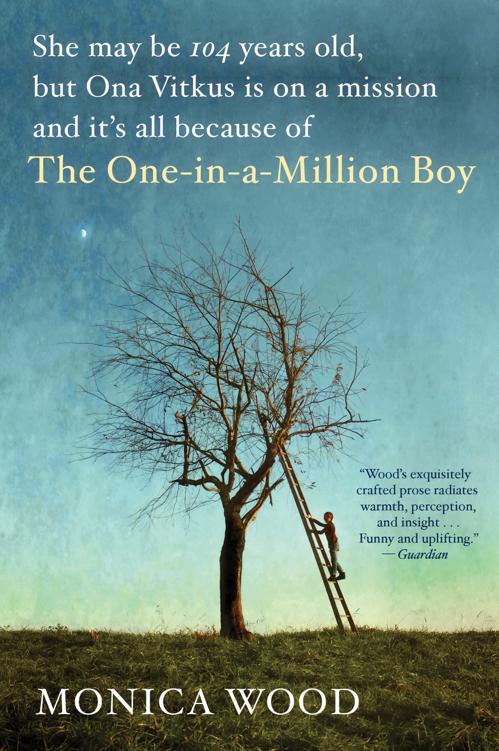 The OneInAMillion Boy,New