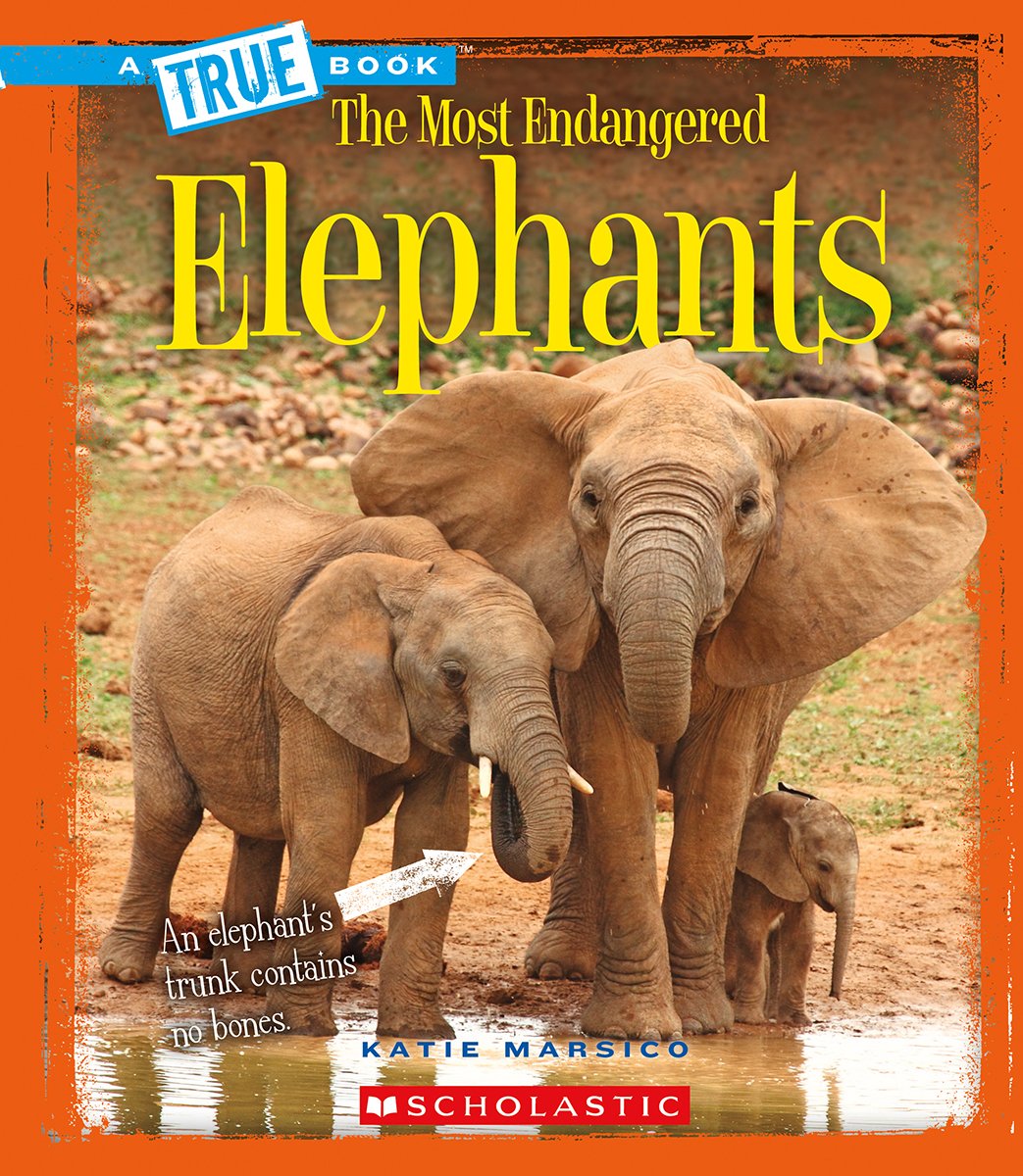 Elephants (A True Book: The Most Endangered),Used