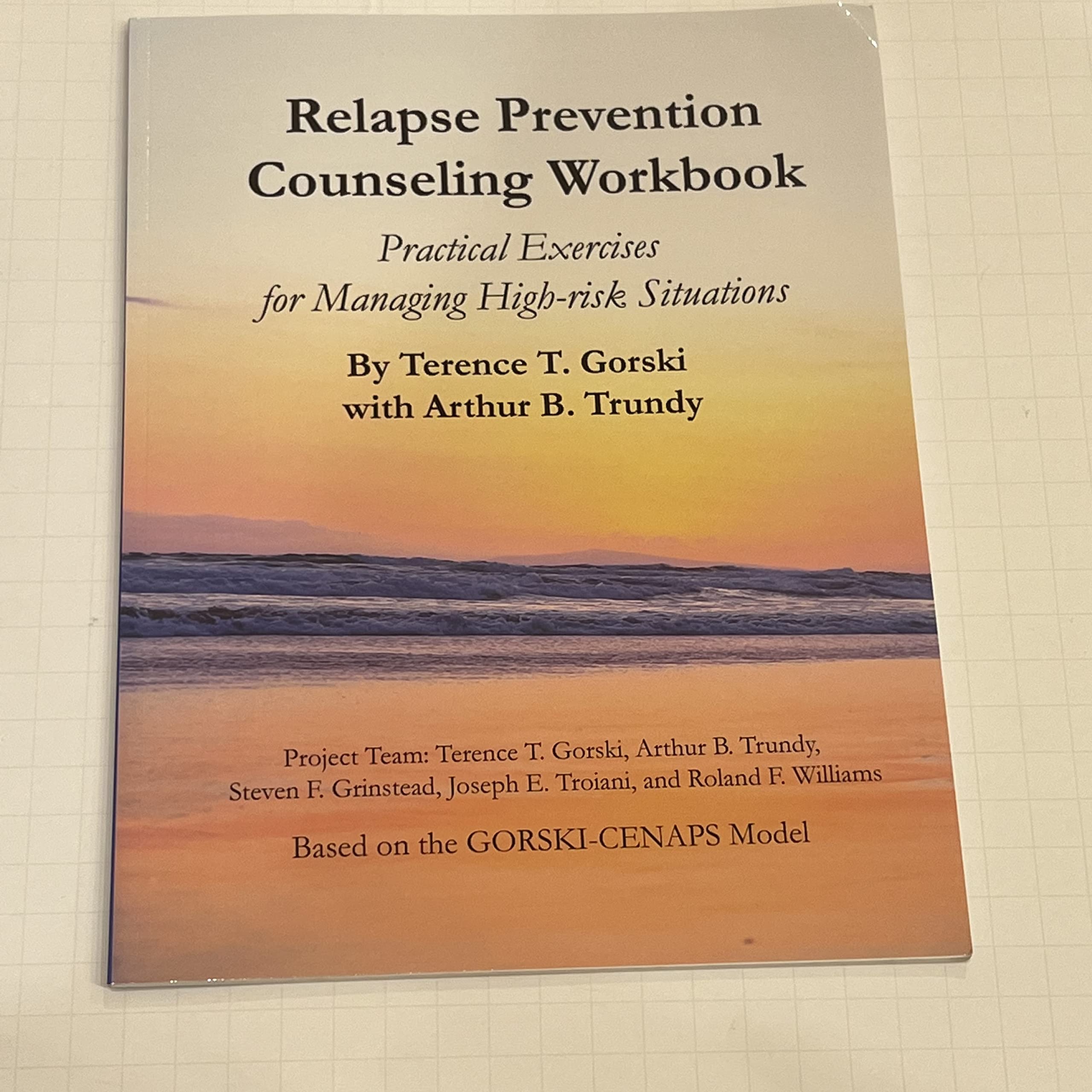 Relapse Prevention Counseling Workbook: Practical Exercises for Managing HighRisk Situations,Used