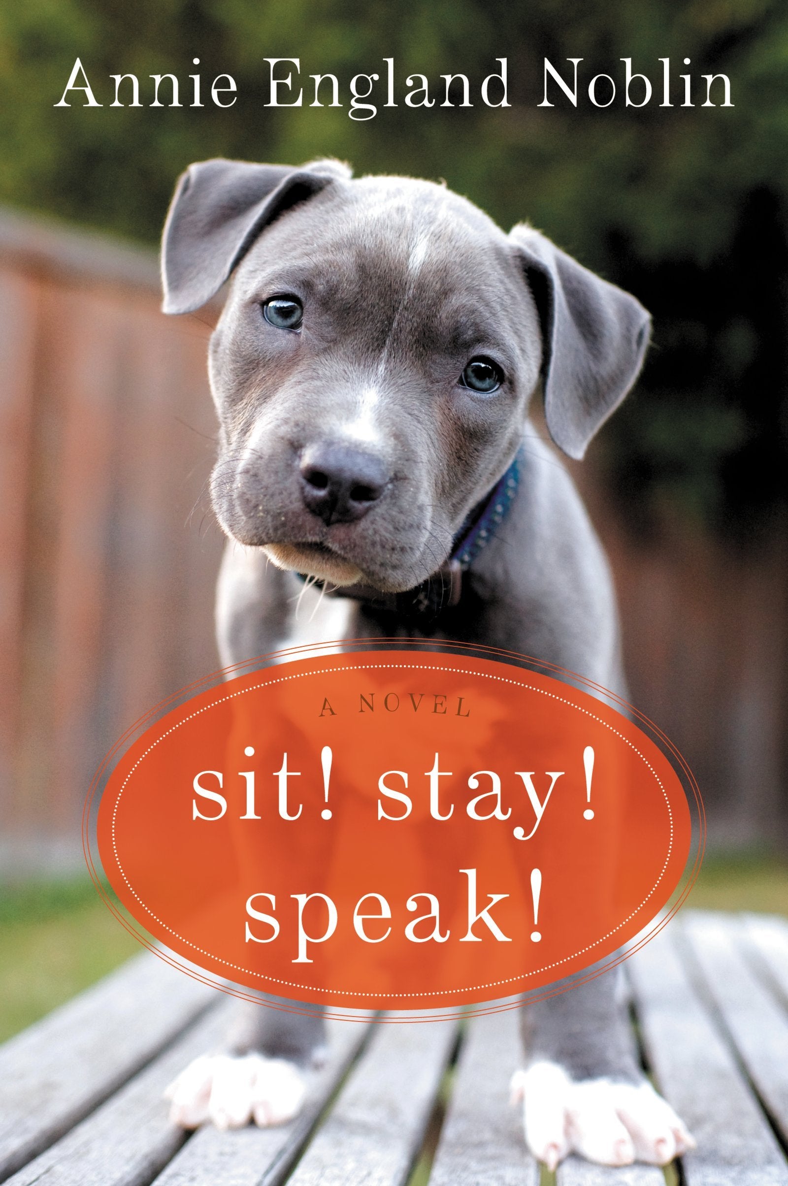 Sit! Stay! Speak!: A Novel,Used