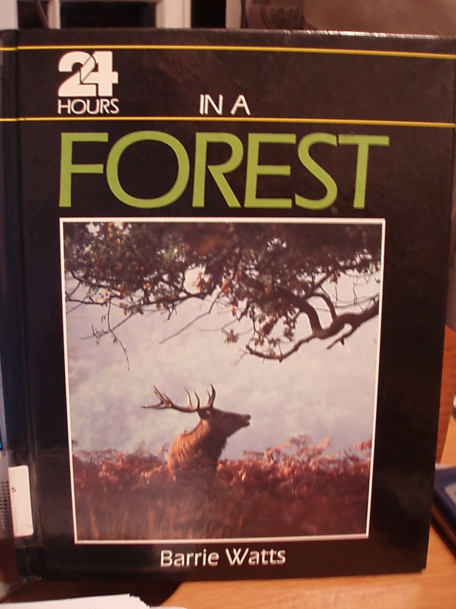 24 Hours in a Forest (24 Hours Series),Used