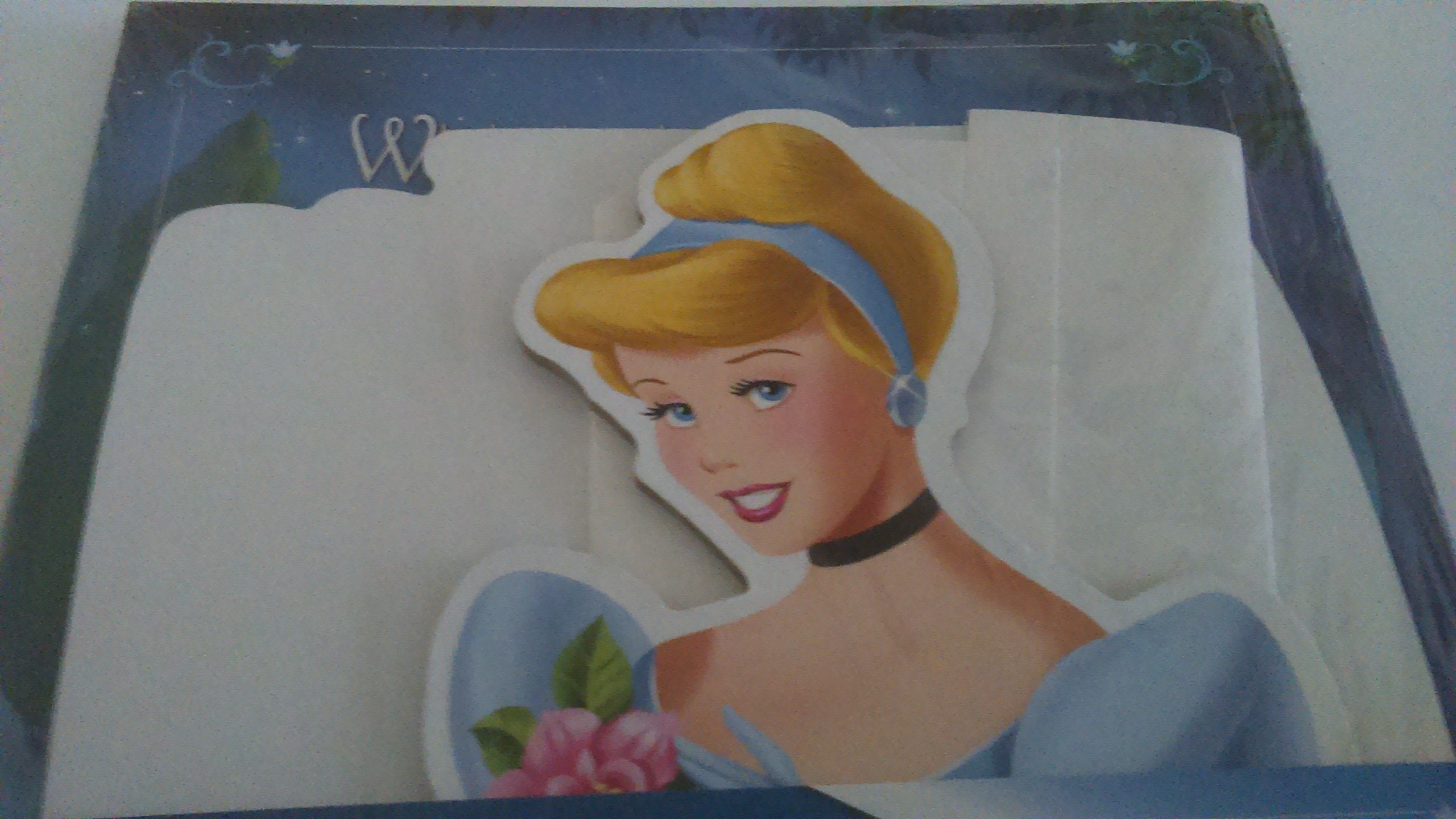 Cinderella Story Book with Standee: A Tale of Friendship (BTMS custom pub),Used