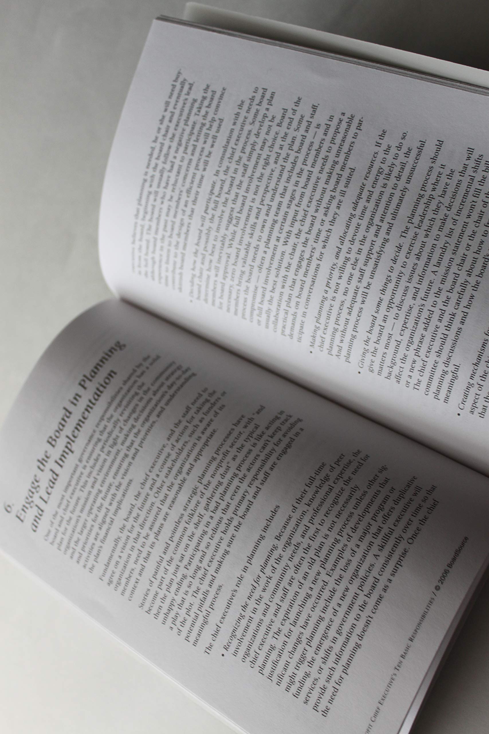 The Nonprofit Chief Executive's Ten Basic Responsibilities,Used