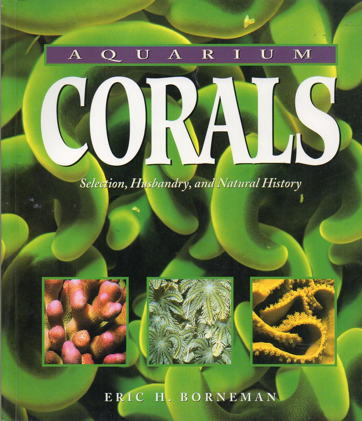 Aquarium Corals: Selection, Husbandry, And Natural History