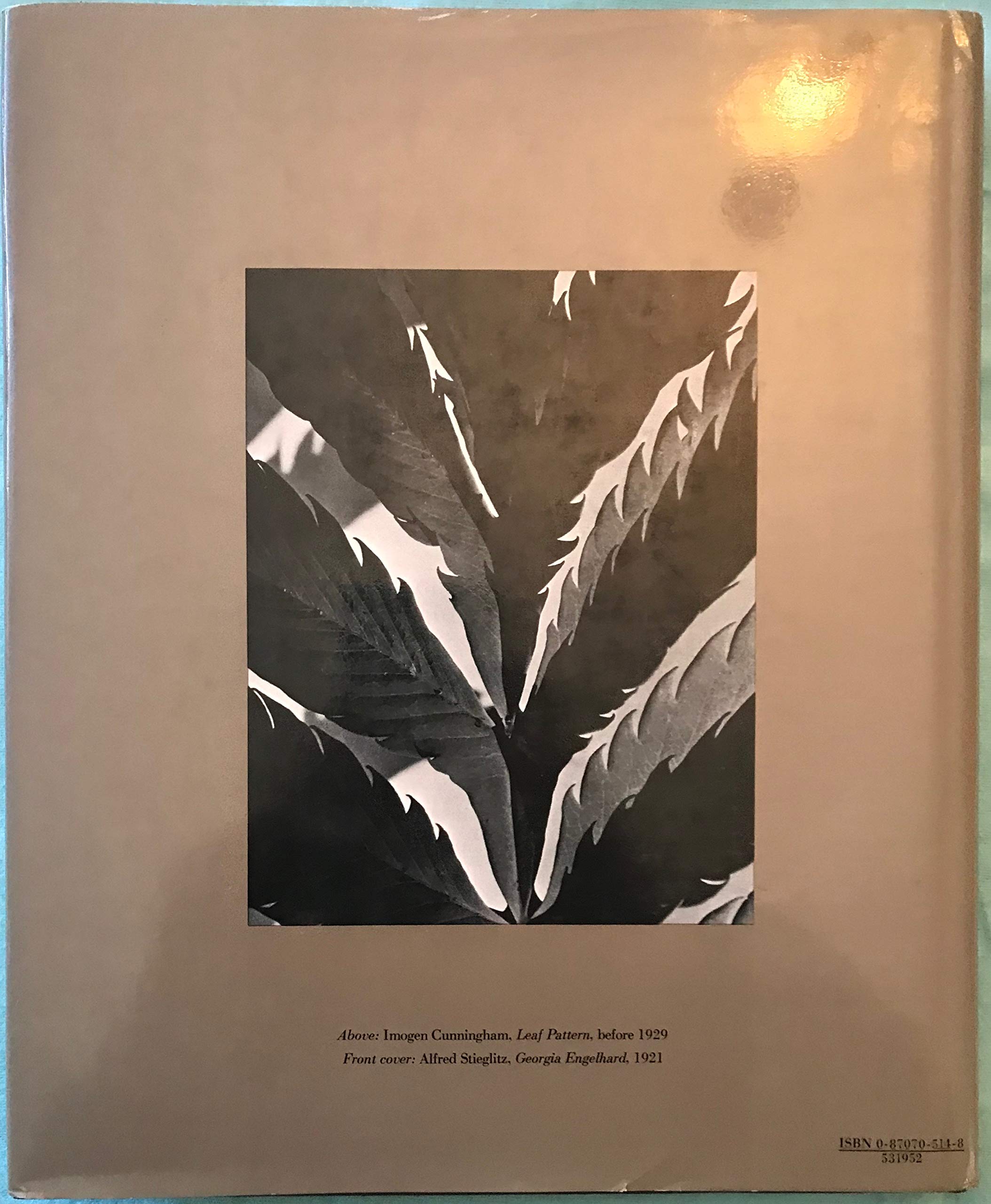 Looking at photographs;: 100 pictures from the collection of the Museum of Modern Art,,New
