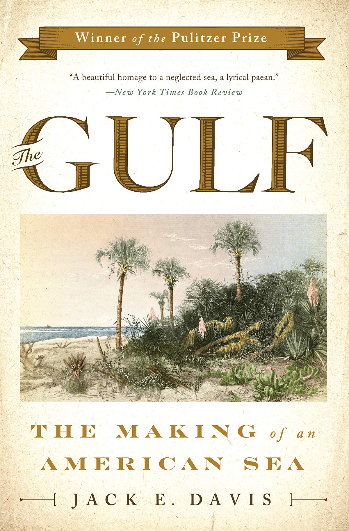 The Gulf: The Making of An American Sea,Used