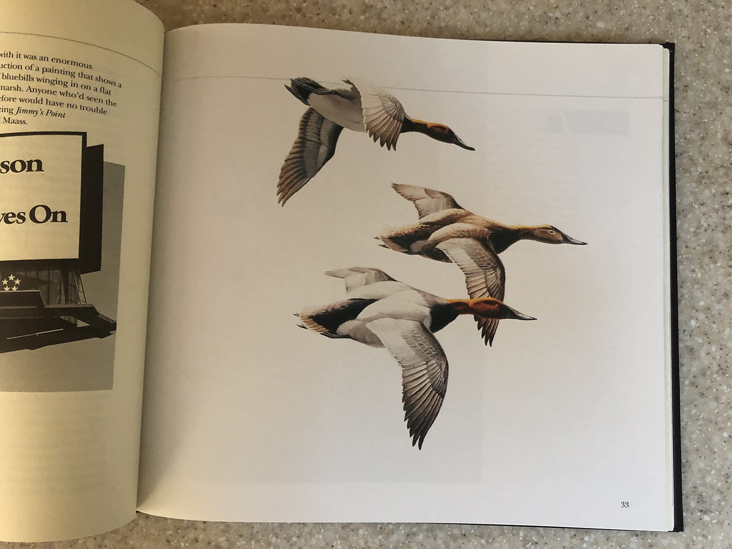 The Wildfowl Art of David Maass: Masters of the Wild,Used