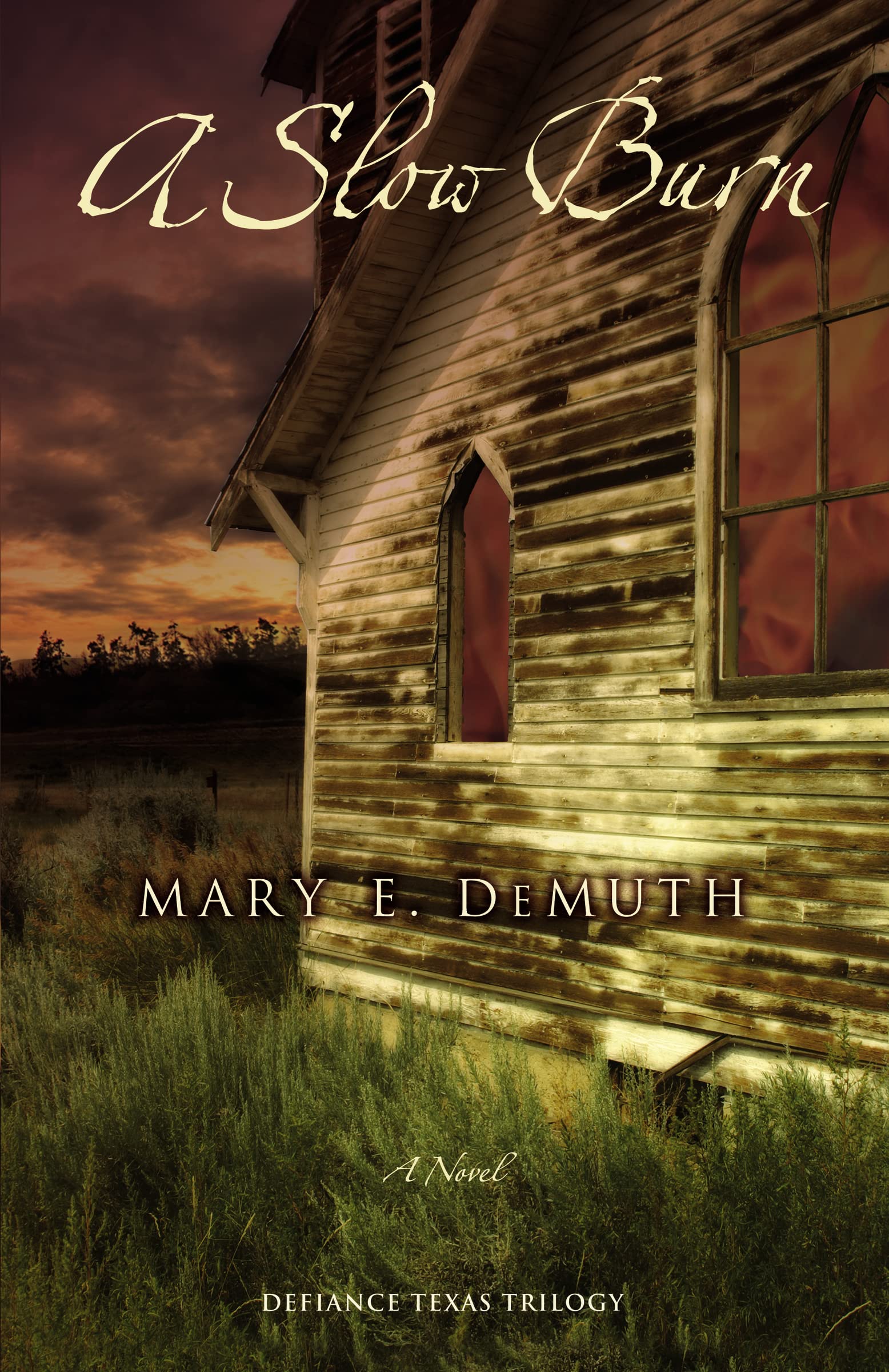 A Slow Burn (Defiance Texas Trilogy, Book 2),Used
