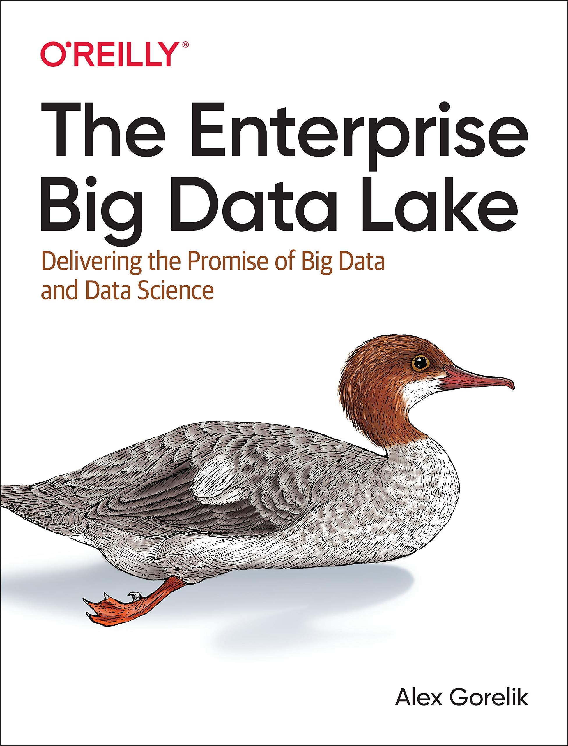 The Enterprise Big Data Lake: Delivering the Promise of Big Data and Data Science,Used